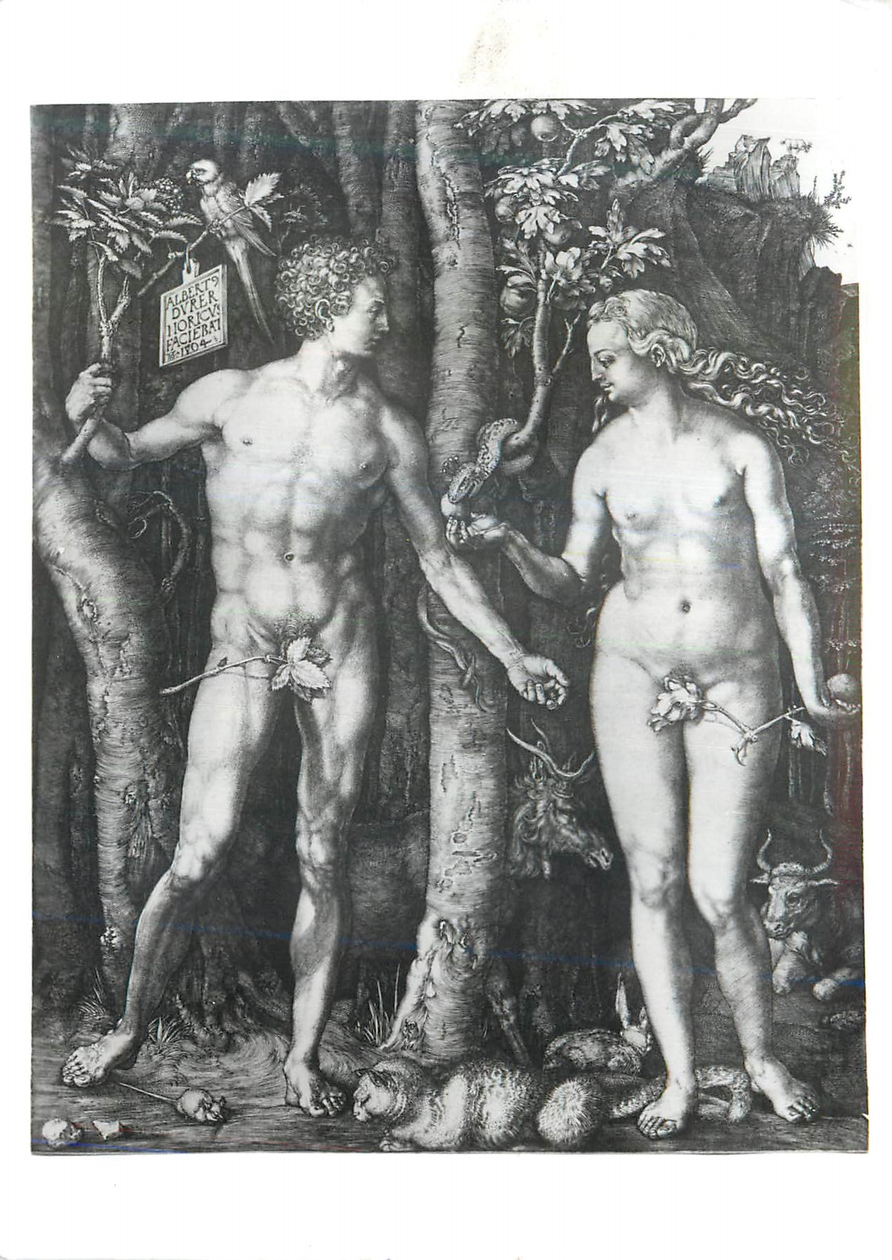 CPM Albrecht Durer Adam and Eve Engraving Victoria and Albert Museum 