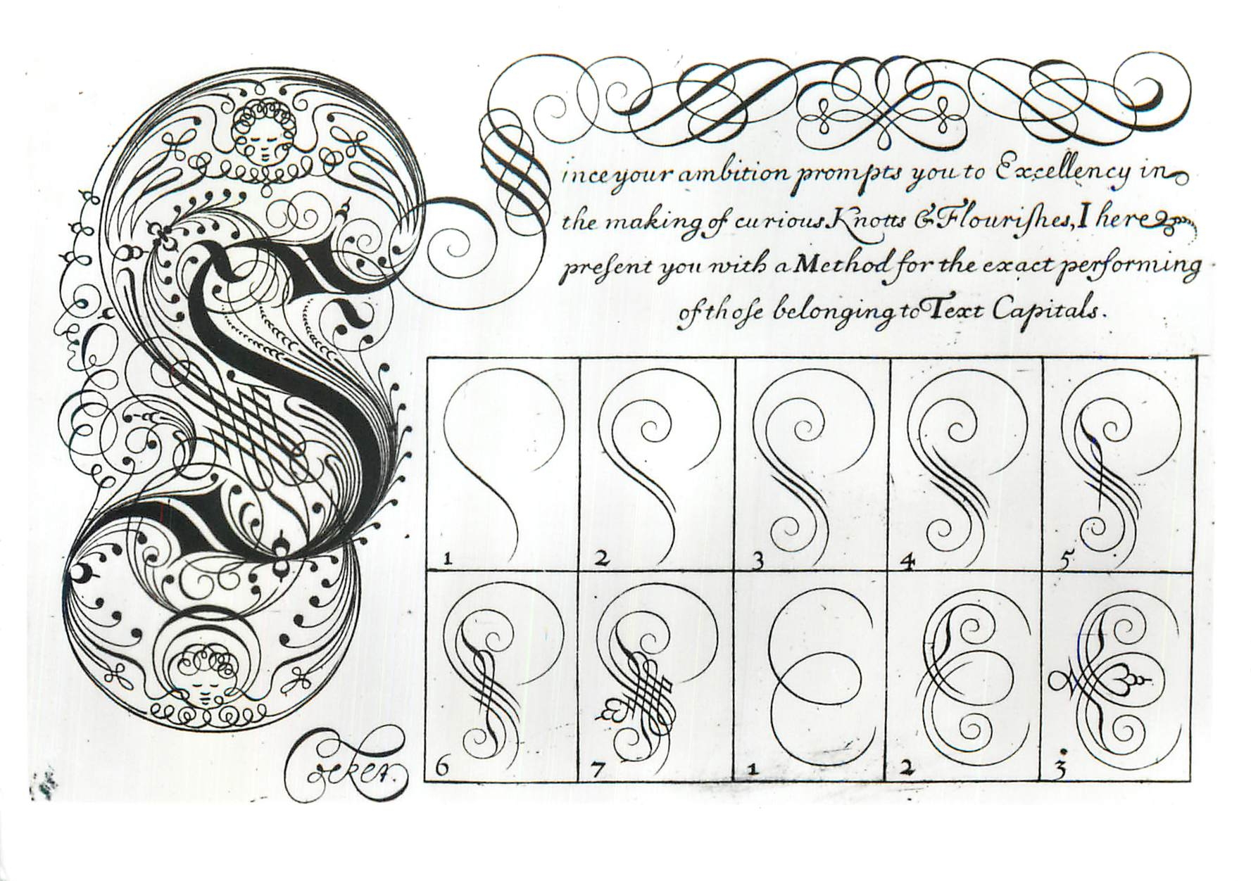 CPM Engraved plate showing the formation of the letter S Victoria and Albert Museum 