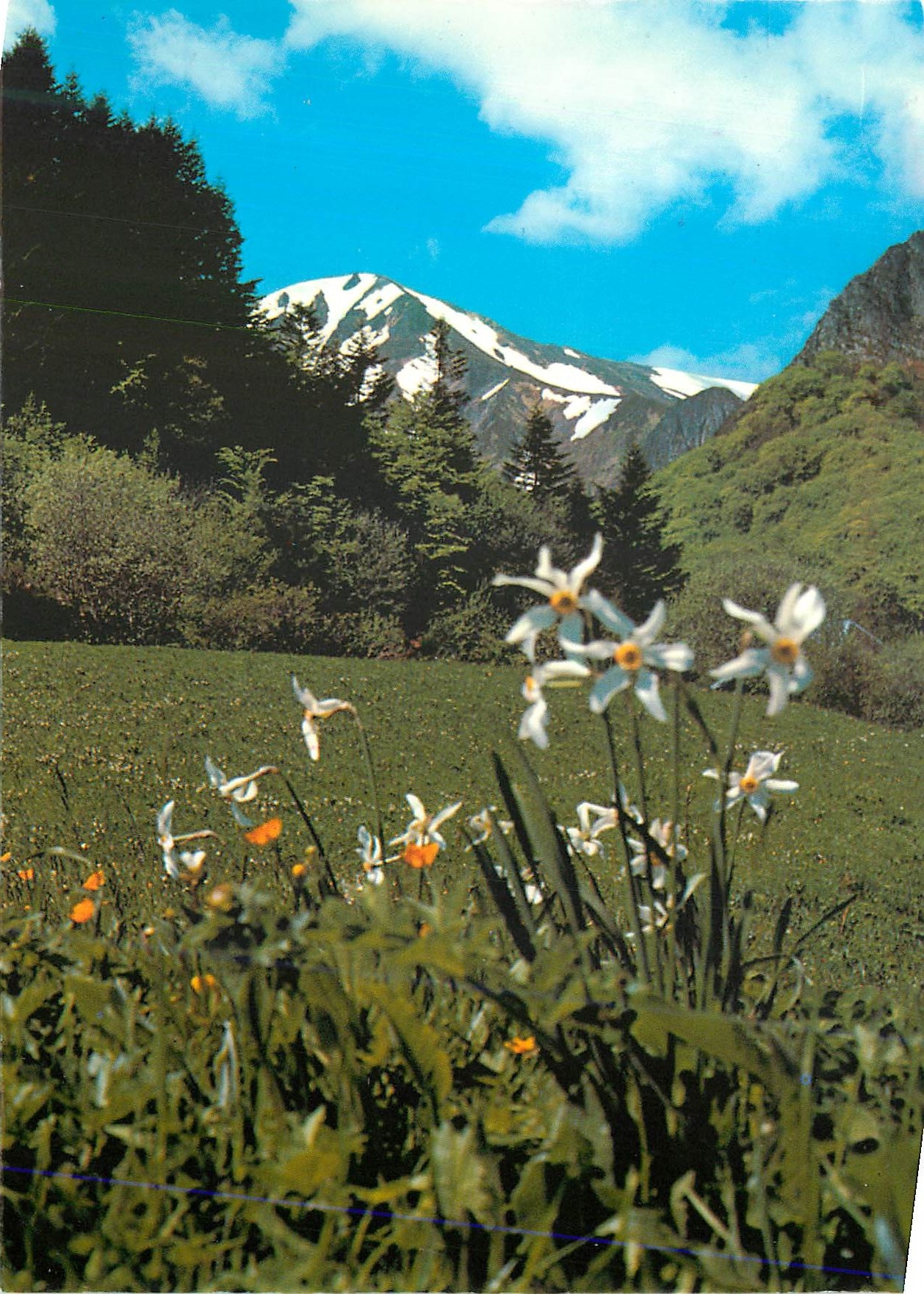 CPM L Auvergne Touristique Massif du Sancy 