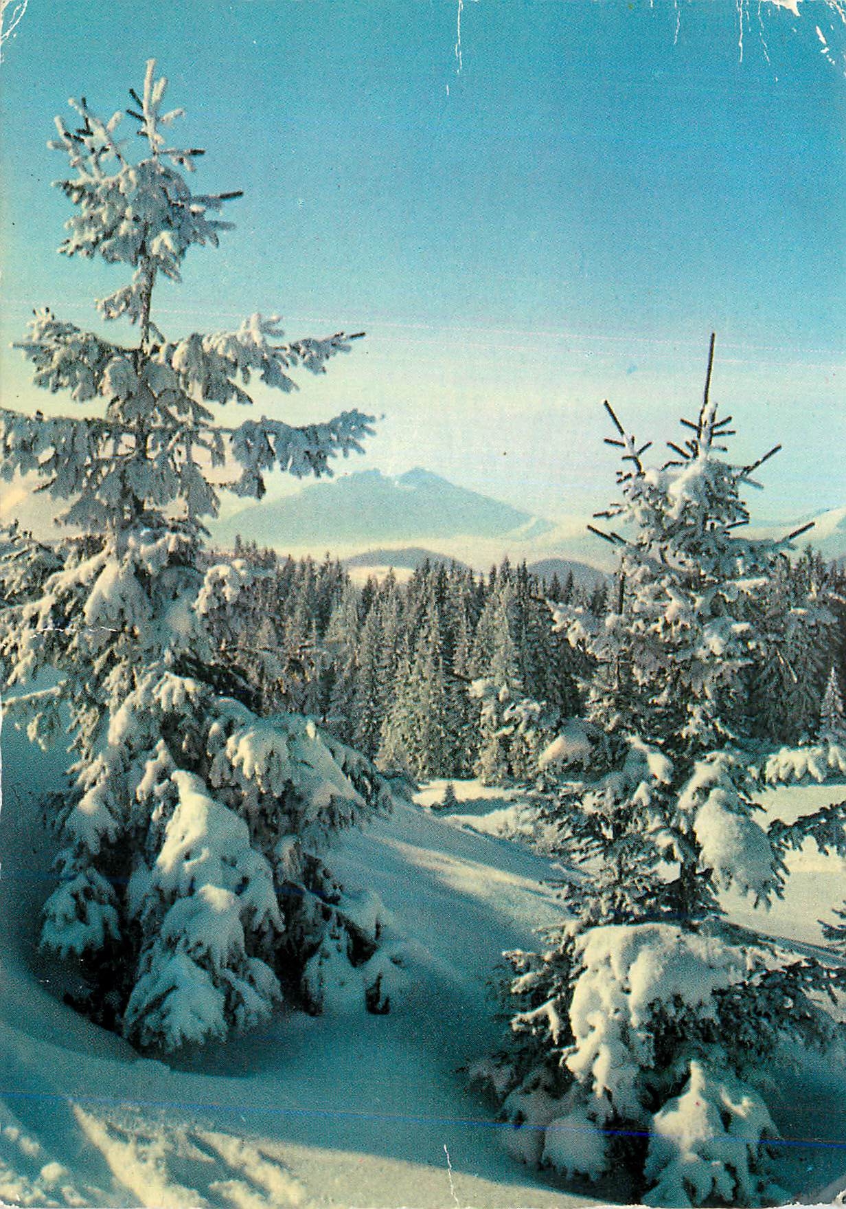 Chamonix-Mont Blanc — Paysage de neige — Éditions LA CAPITALE