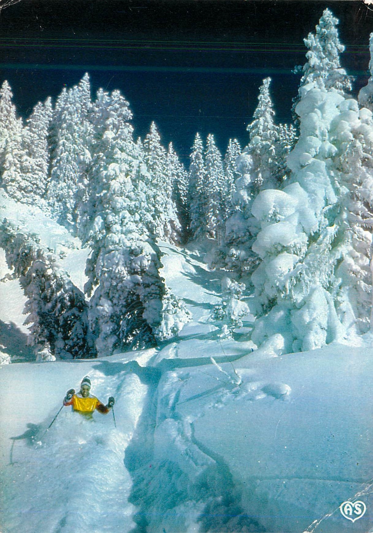Ski dans une forêt enneigée — Image de nos montagnes en hiver 5095 — Couleurs Naturelles, AS Givois