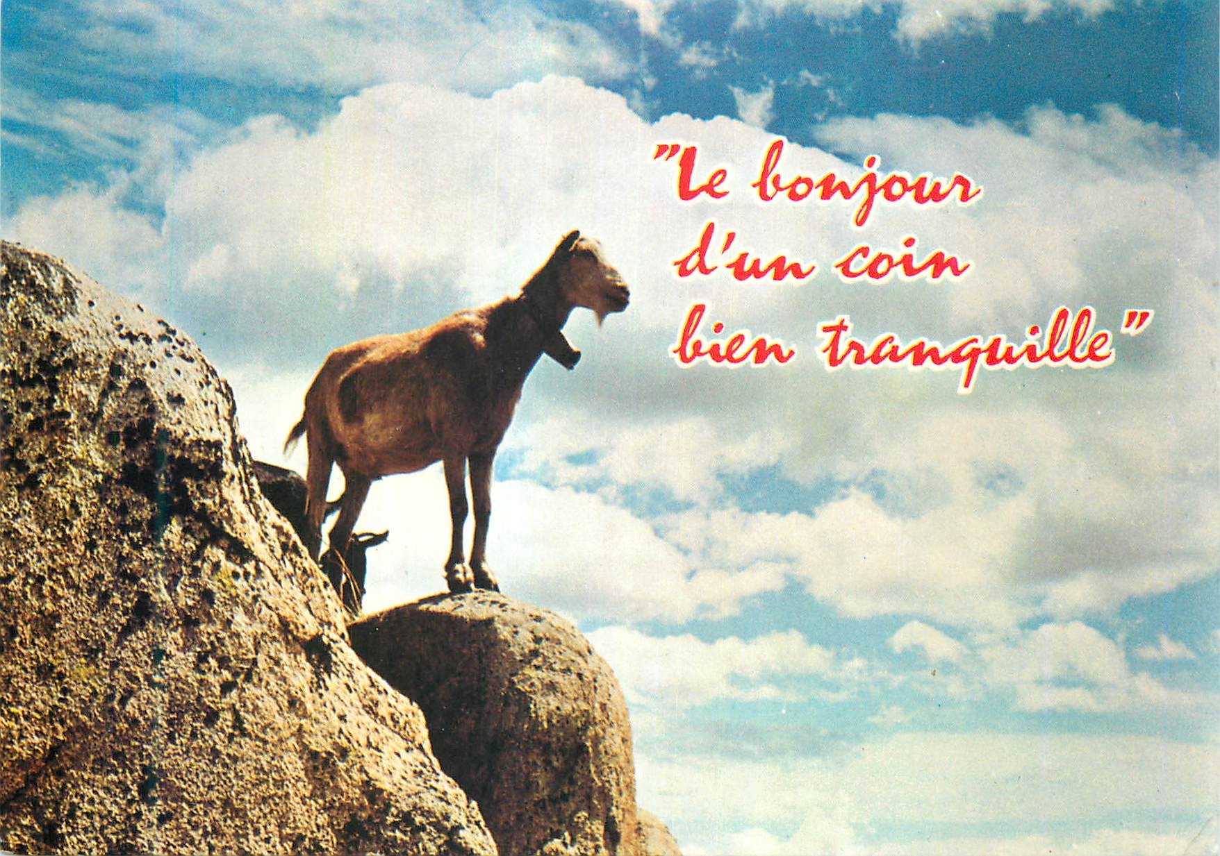 CPM Le bonjour d un coin bien tranquille Chevre