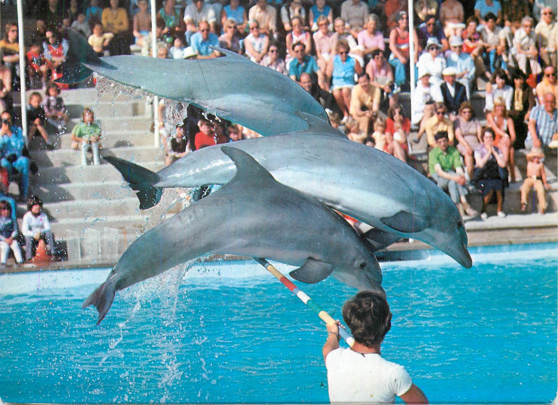 Dolphins en spectacle — Marineland Costa Brava — éditeur Marineland S.A.