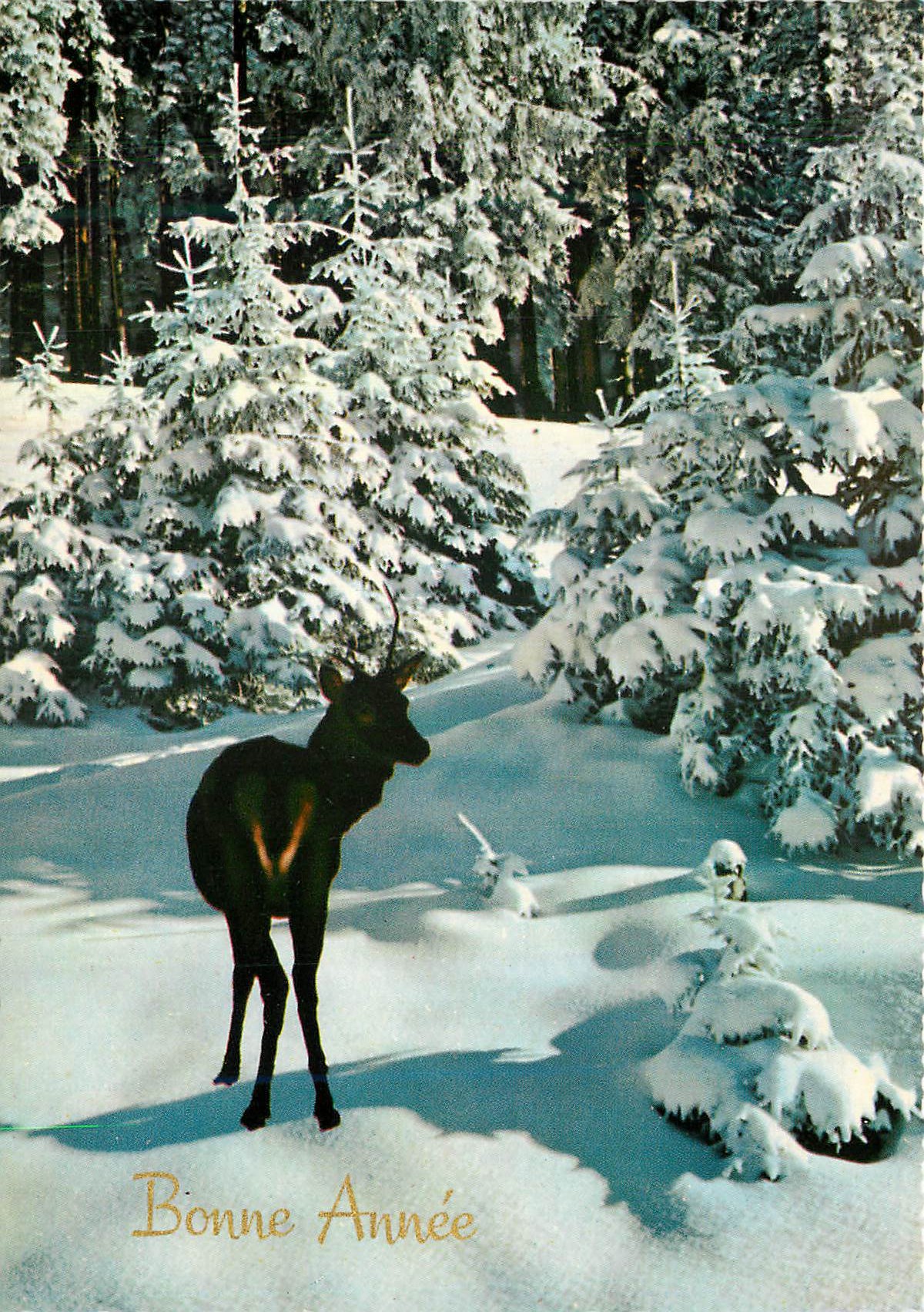 CPM Bonne Annee Biche