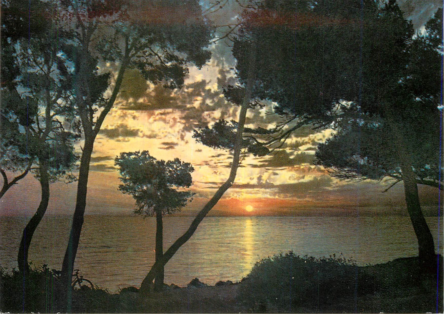 CPM Les Joyaux de la Mediterranee Un jour qui se leve 