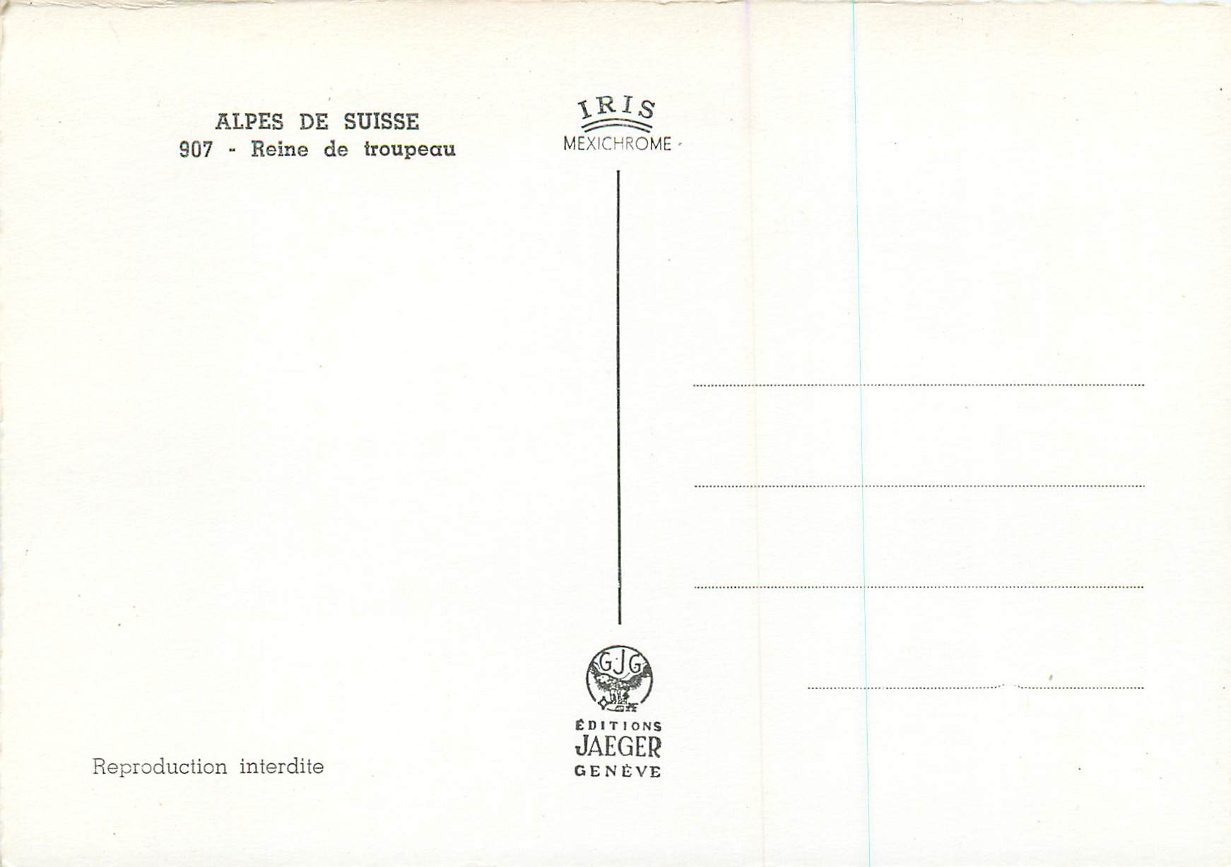 CPM Alpes de Suisse Reine de troupeau Vache — Back