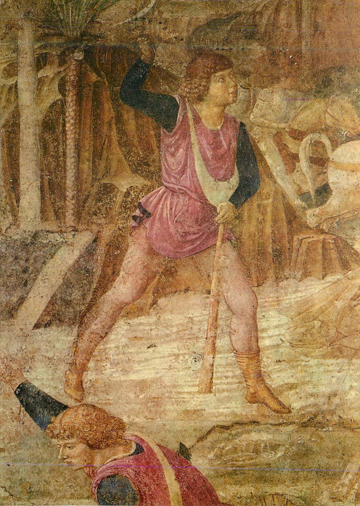 CPM Pisa Camposanto Monumentale Benozzo Gozzoli David E Golia 