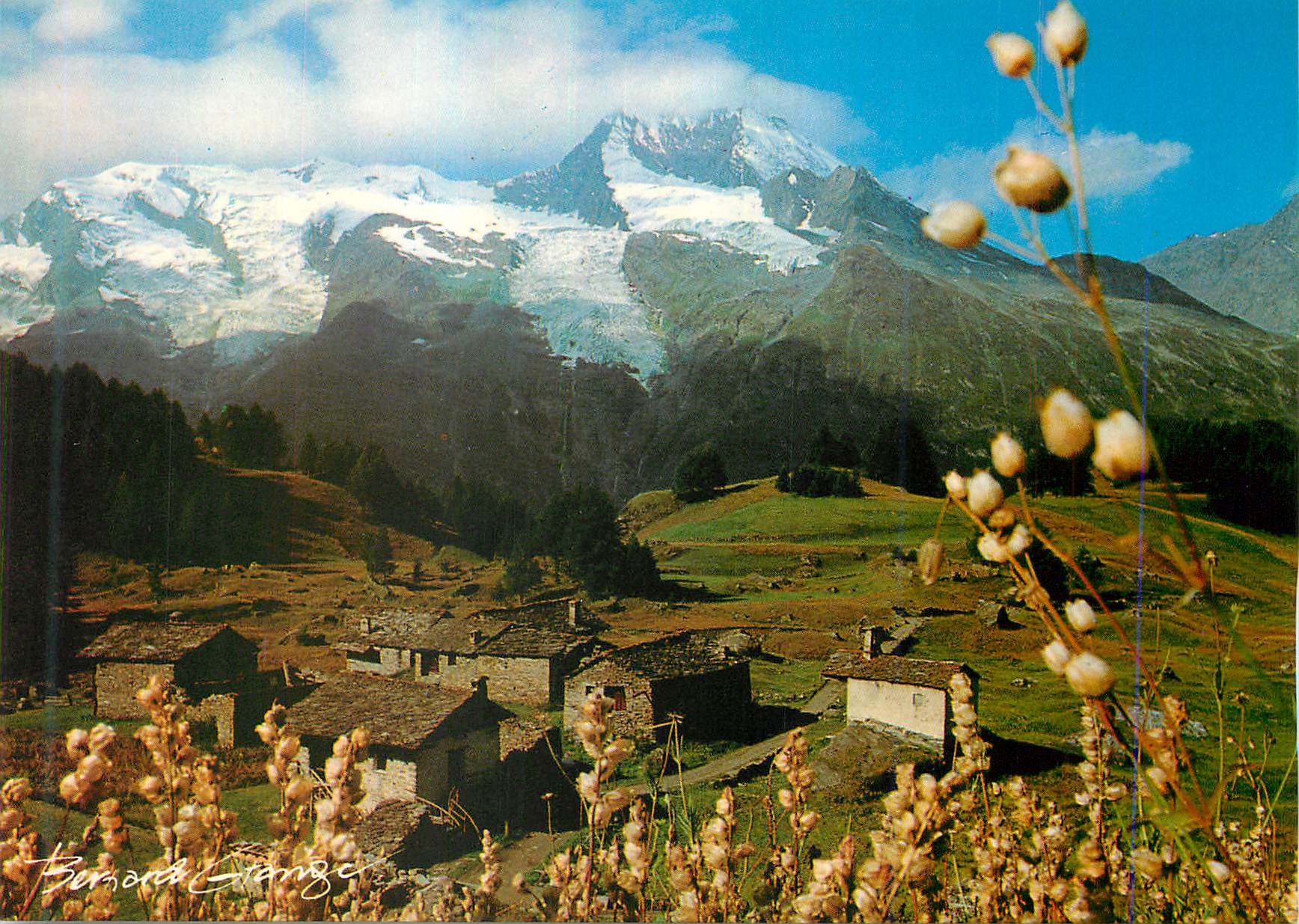 CPM Vie en montagne 