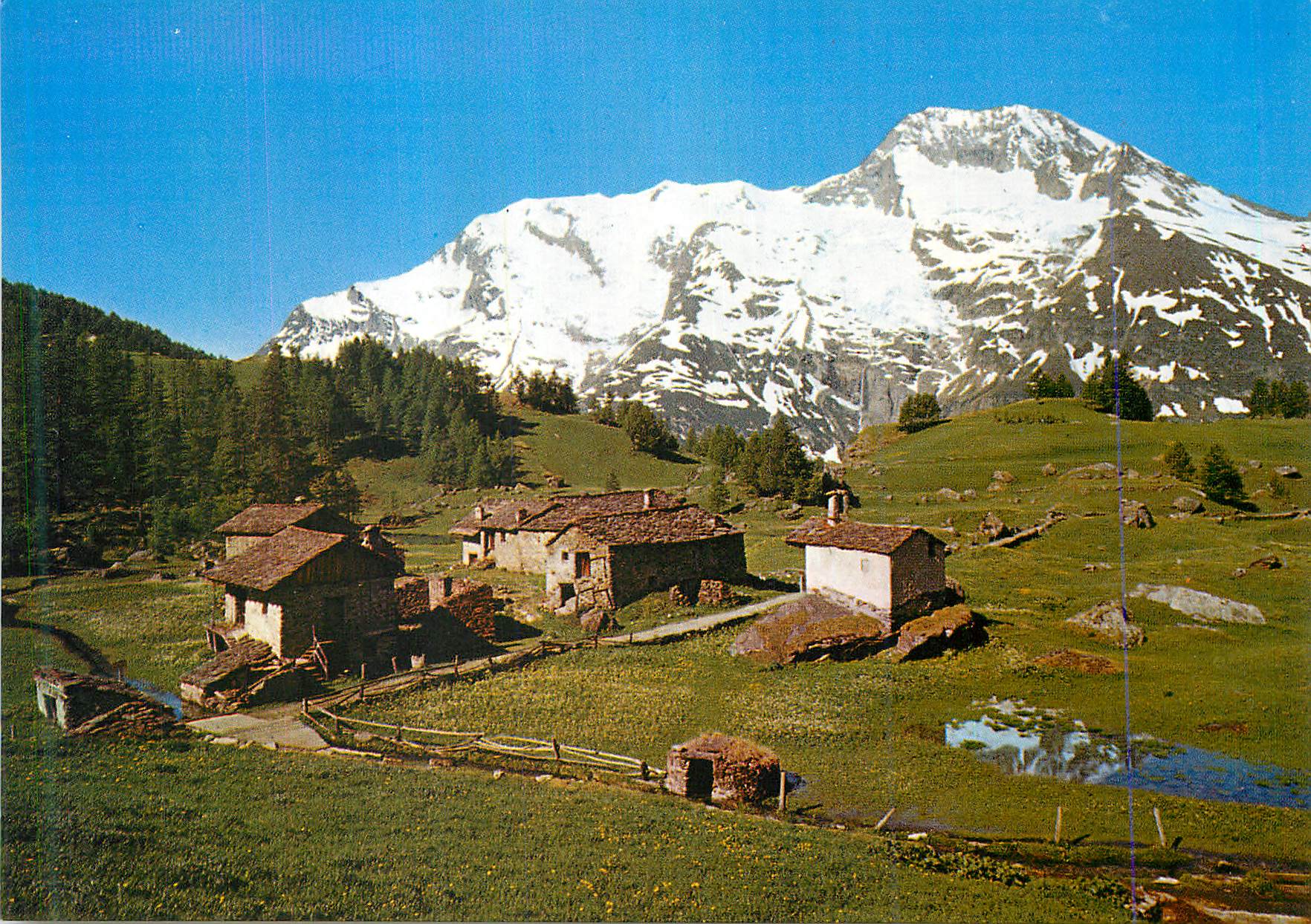 CPM Le Monal Vue generale Au fond le Mont Pourri 