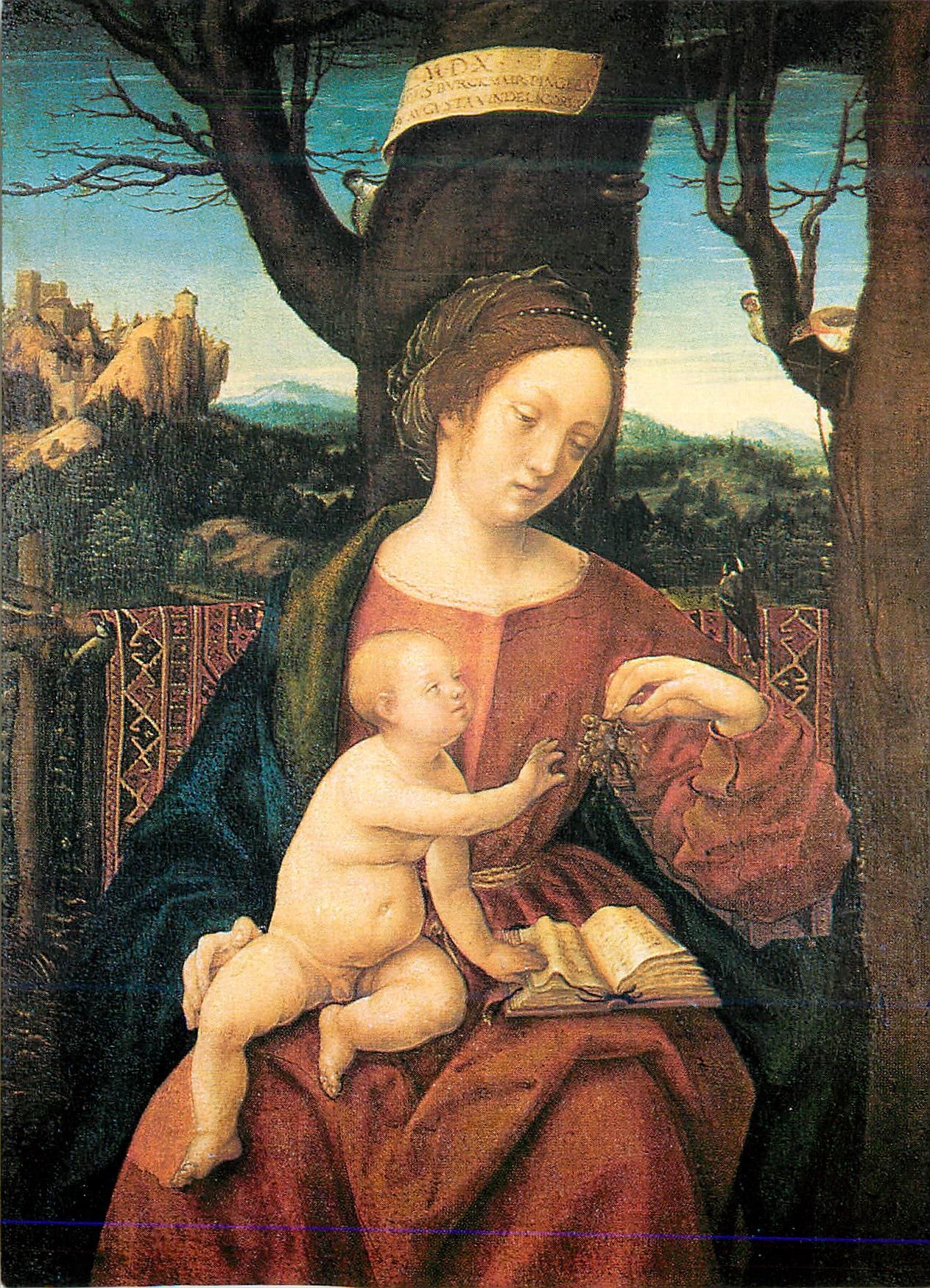 CPM Hans Burgkmair Die Madonna mit der Traube 