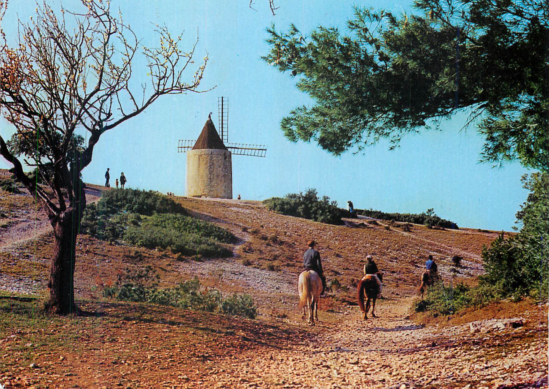 CPM Fontvieille (Bouches du Rhone) Le Moulin de Daudet