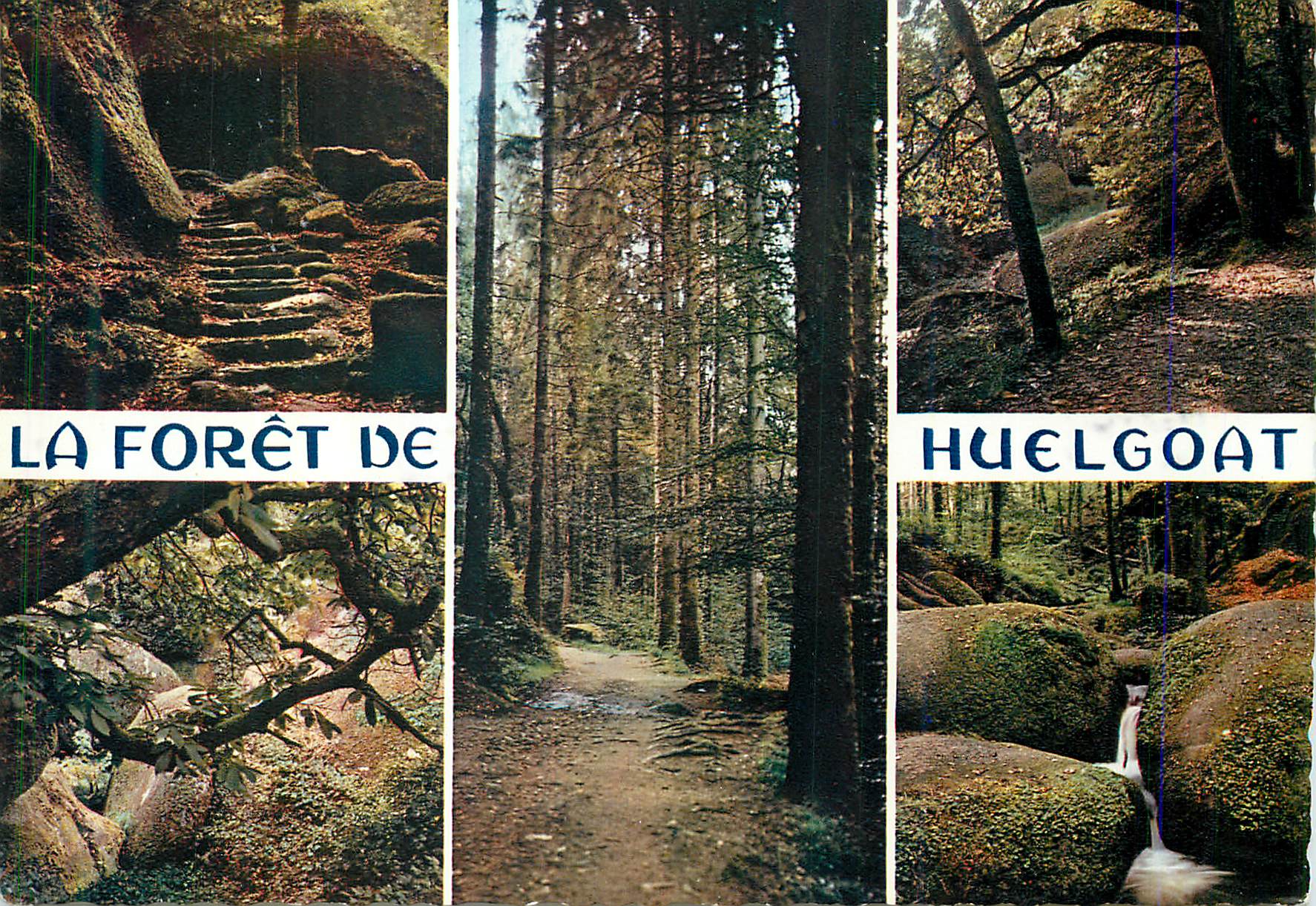 CPM La Foret de Huelgoat La Bretagne en Couleurs La Grotte d'Arthus La Mare aux Sangliers