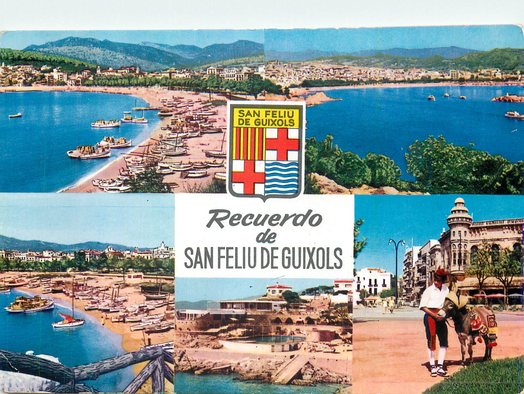 CPM Recuerdo de San Feliu de Guixols Costa Brava Ane Donkey