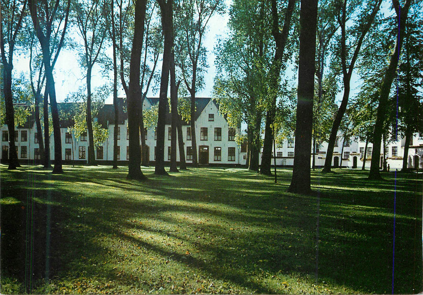 CPM Brugge Cour Interieur du Beguinage