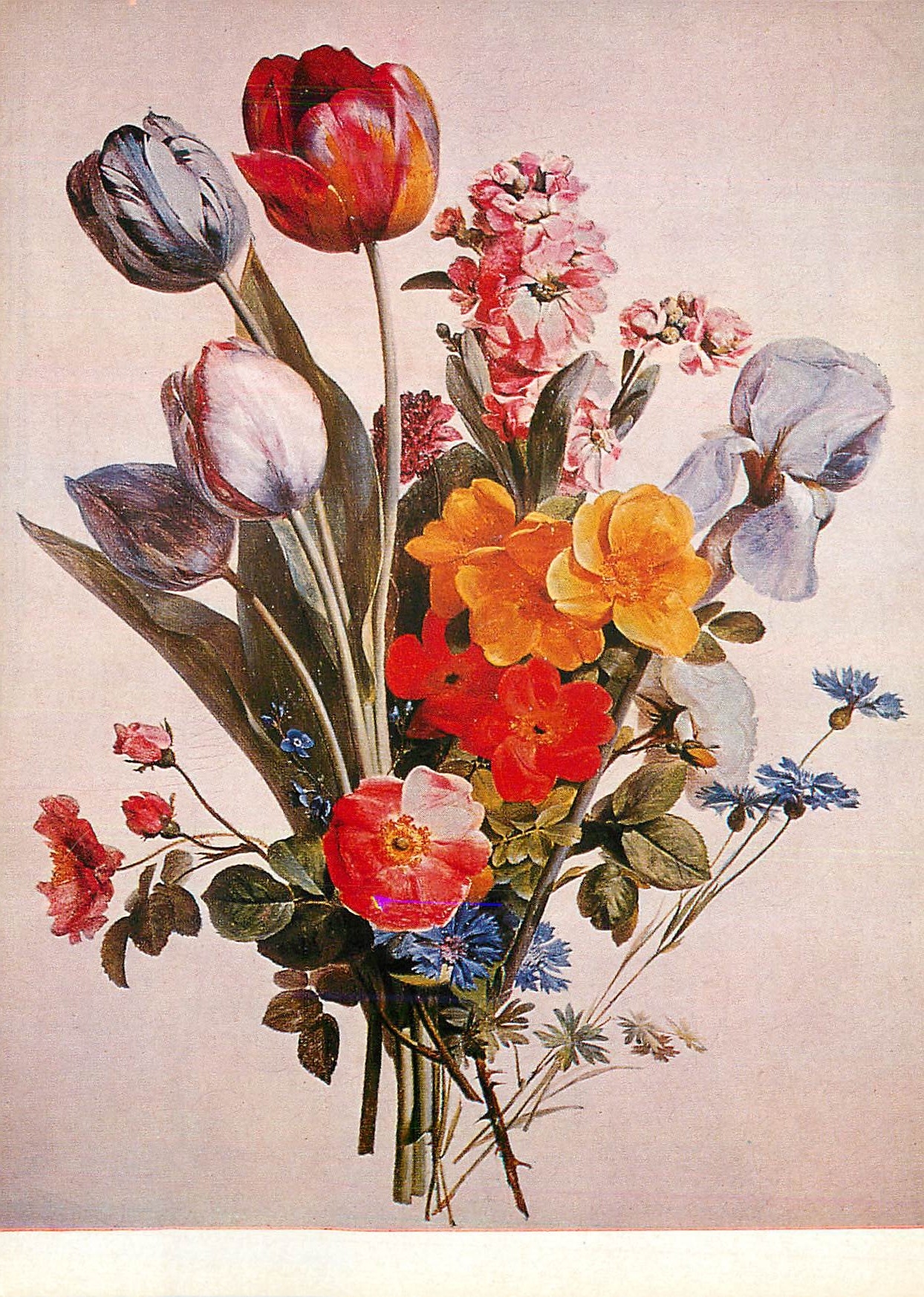 CPM Lyon Musee des Beaux Arts Berjon Light Ground Fleurs Peintes sur Fond Blanc