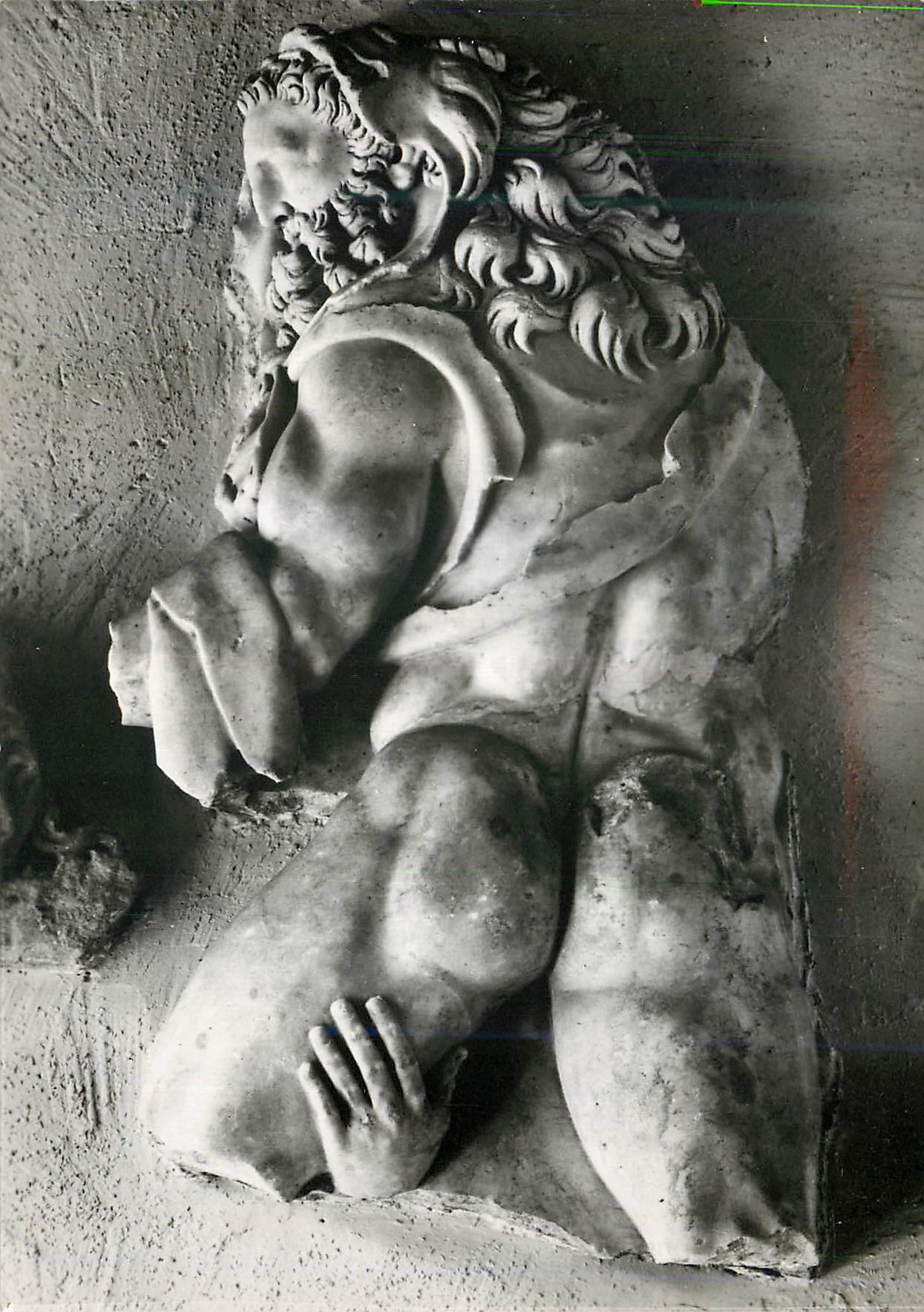 CPM Toulouse Musee Saint Raymond Hercule Livrant Diomede a ses Cavales (Martres Tolosane)