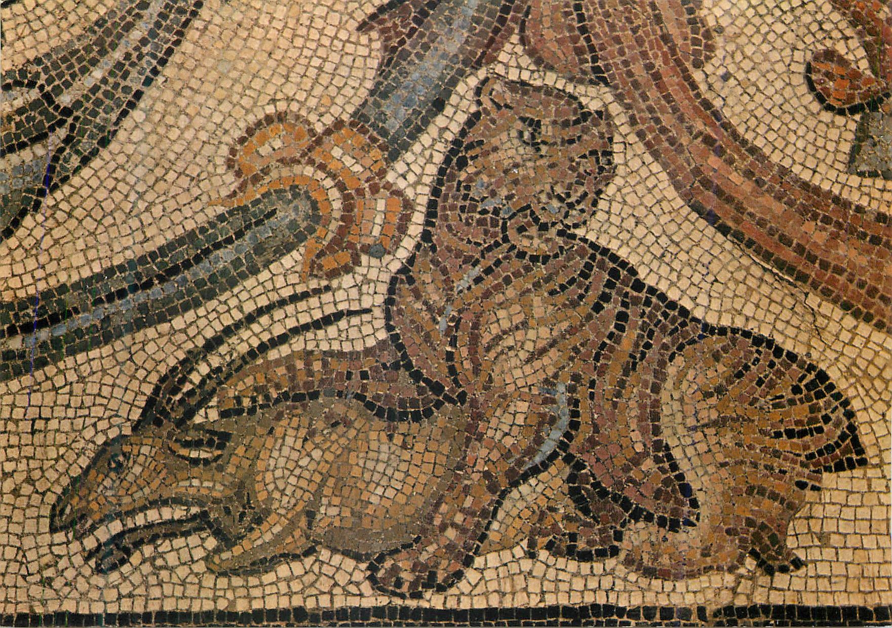 Nîmes — Mosaïque des Noces d'Admète — détail d'un tigre terrassant une gazelle