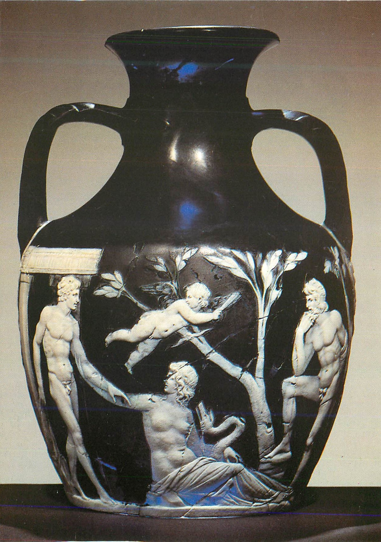 CPM The British Museum the Portland Vase 