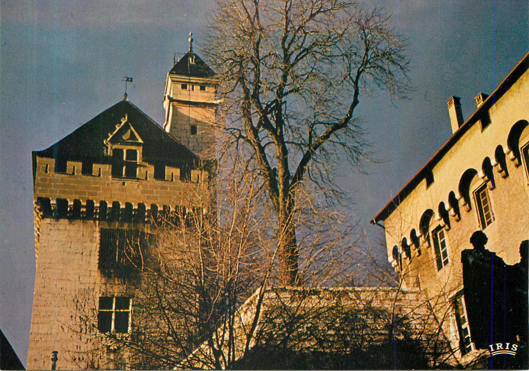 Chambery — Détails du château des Ducs de Savoie (XVe siècle) — IRIS