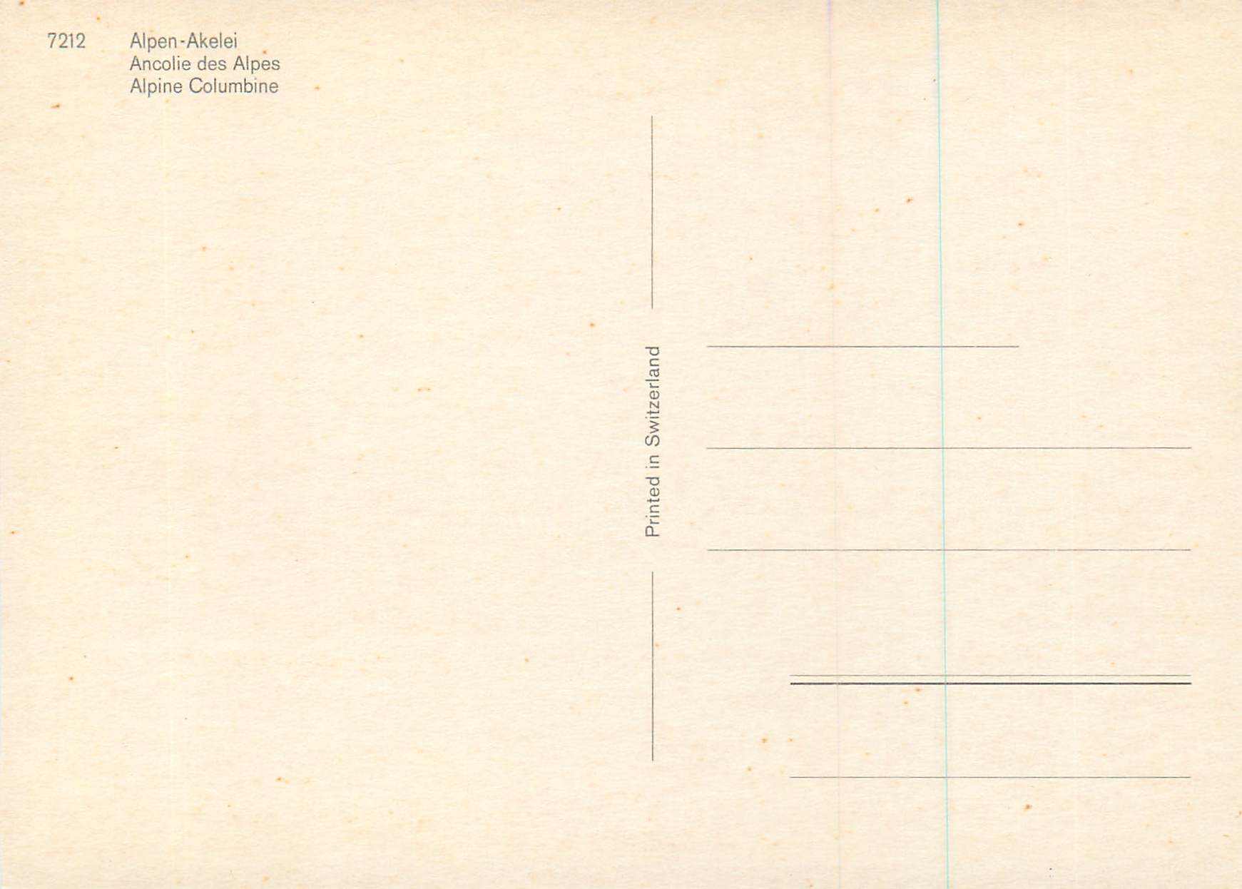 CPM Ancolie des Alpes — Verso