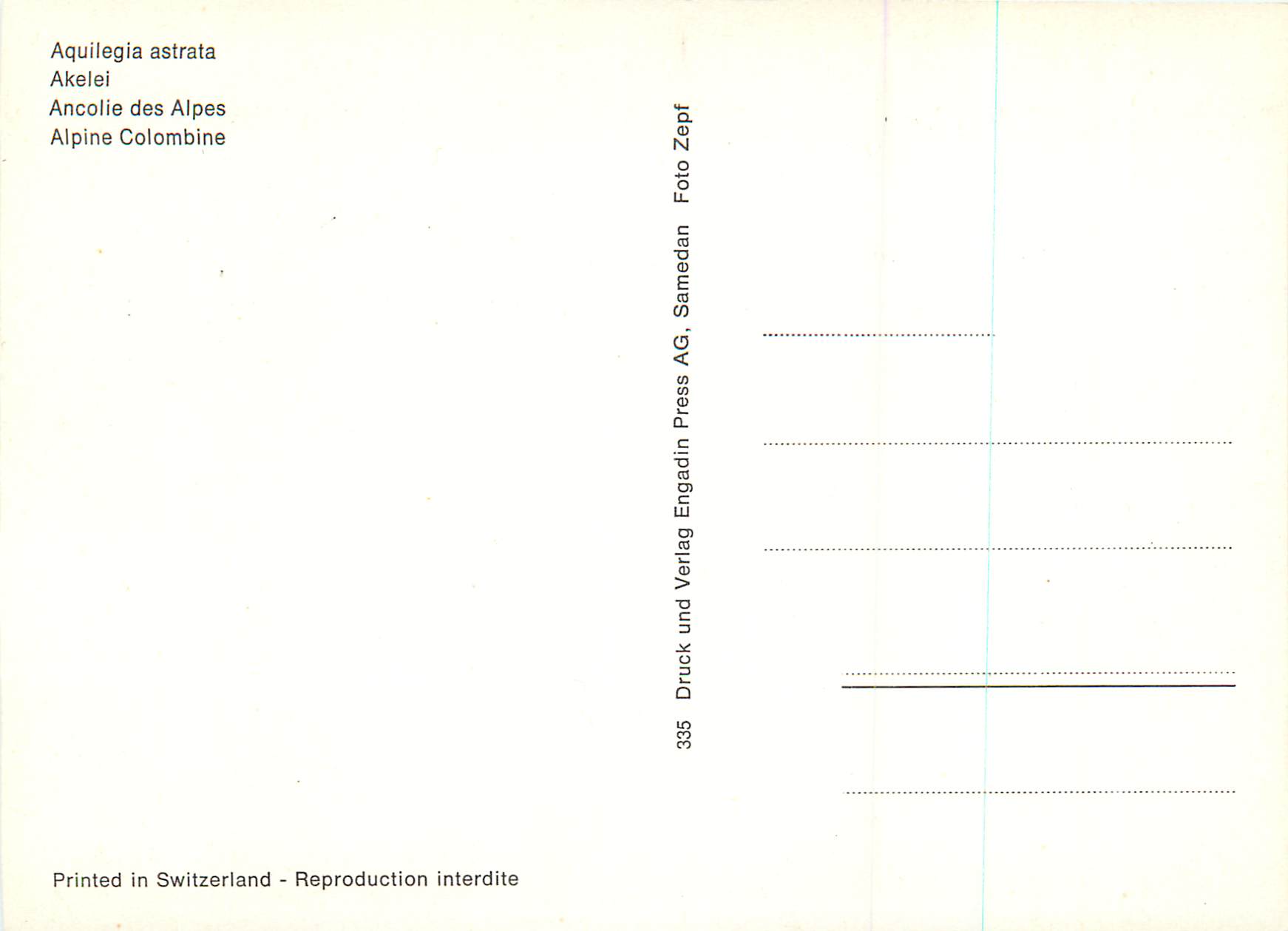 CPM Ancolie des Alpes — Verso