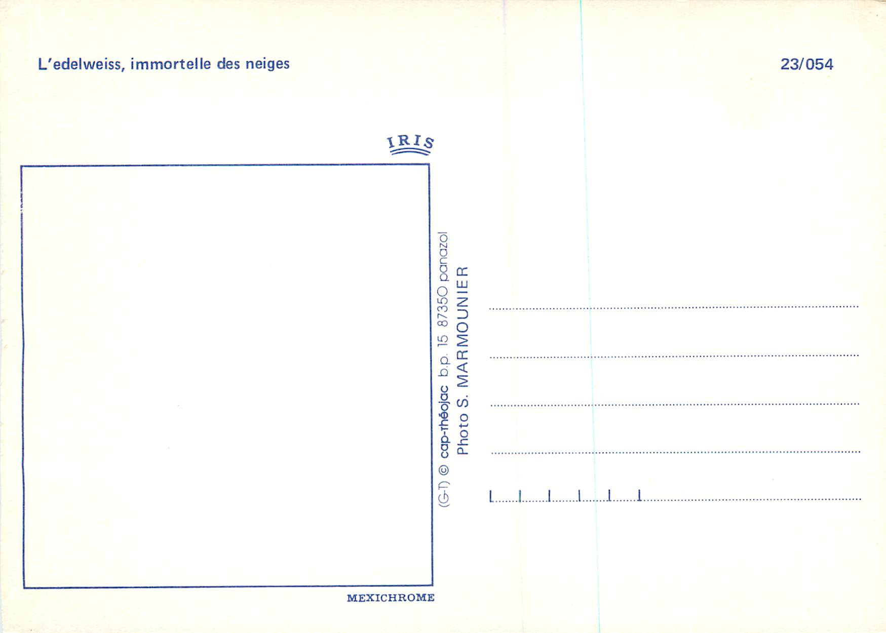 CPM L'Edelweiss Immortelle des Neiges — Verso