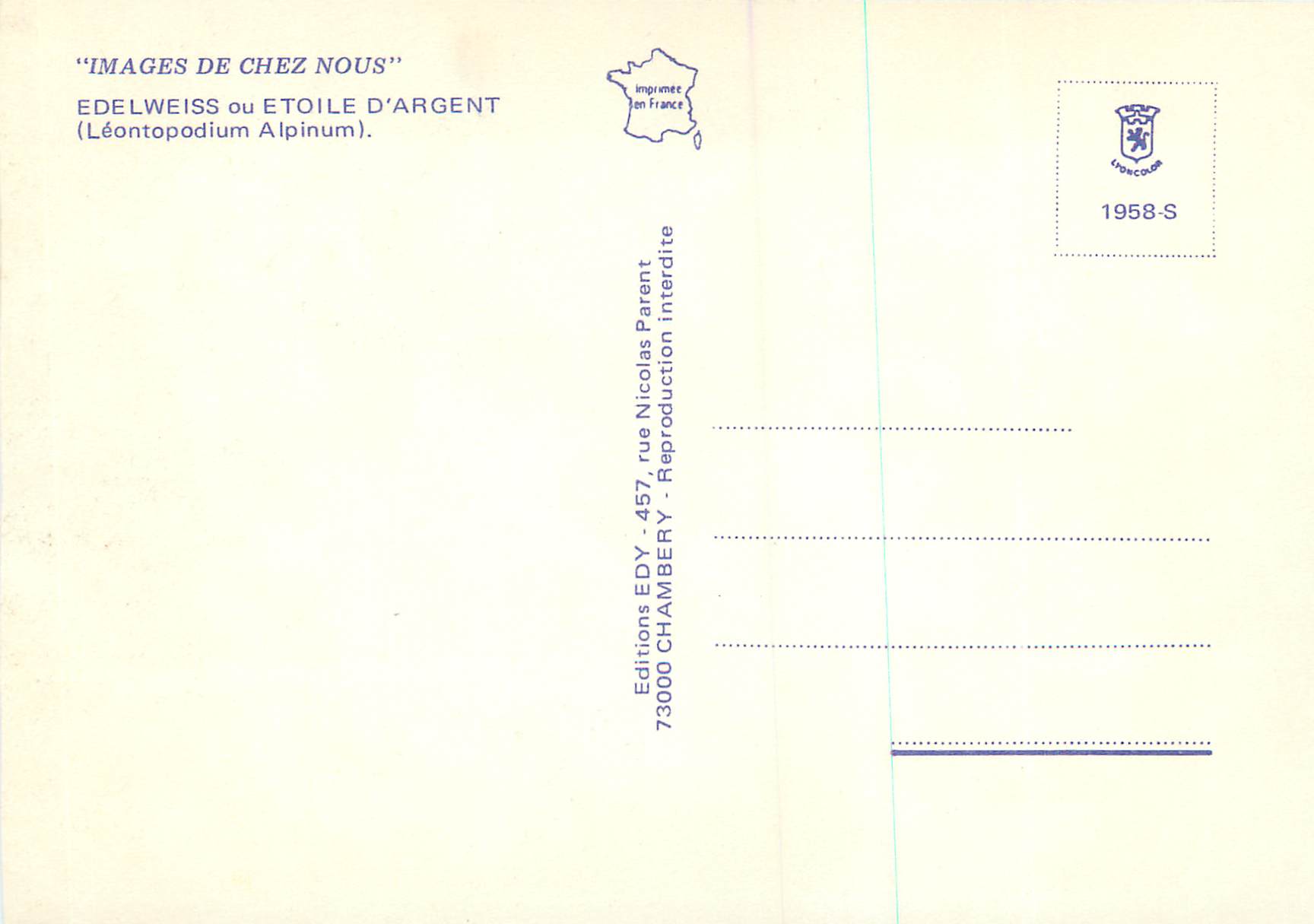 CPM Edelweiss ou Etoile d'Argent Images de chez nous (Leontopodium Alpinum) — Verso