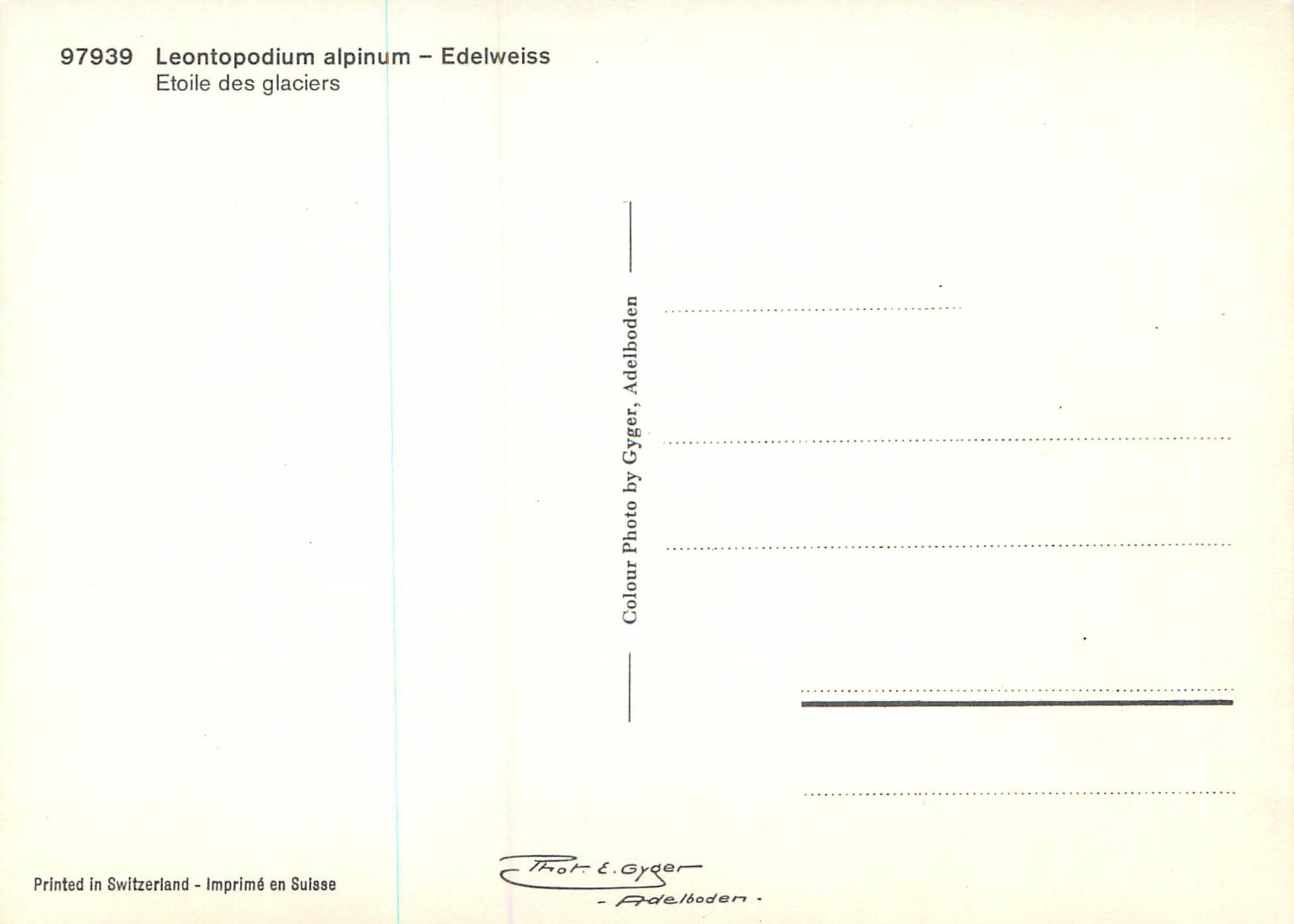 CPM Leontopodium Alpinum Edelweiss Etoile des Glaciers — Verso