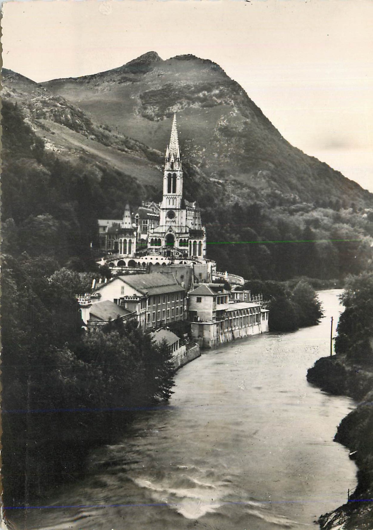CPM Lourdes La Basilique et le Gave