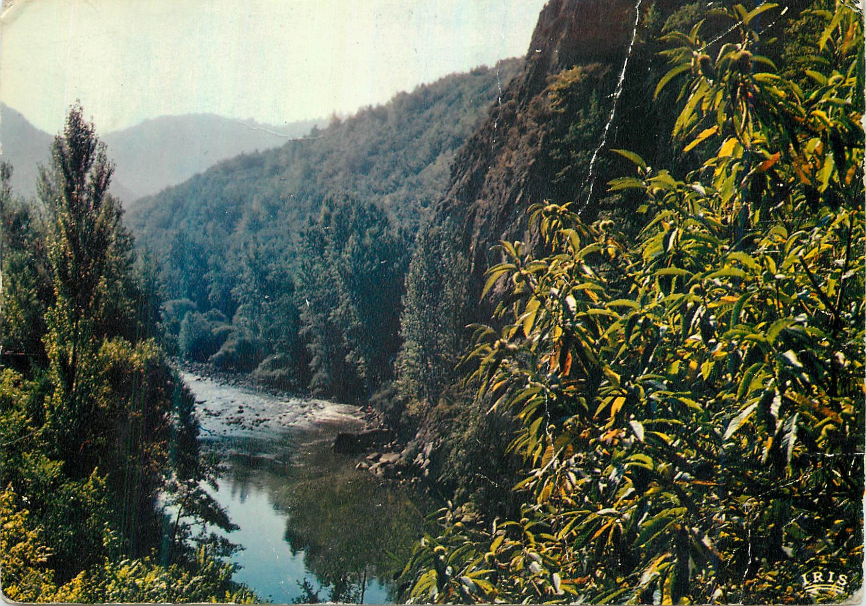 CPM Environs d'Entraygues sur Truyere (Aveyron) Le Haut Rouergue Les Gorges du Lot