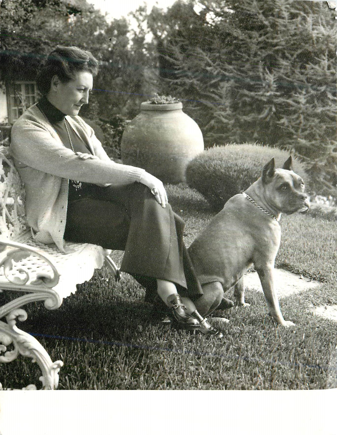 CPM Femme Chein Bouledogue Casa da Colina Paco de Arcos