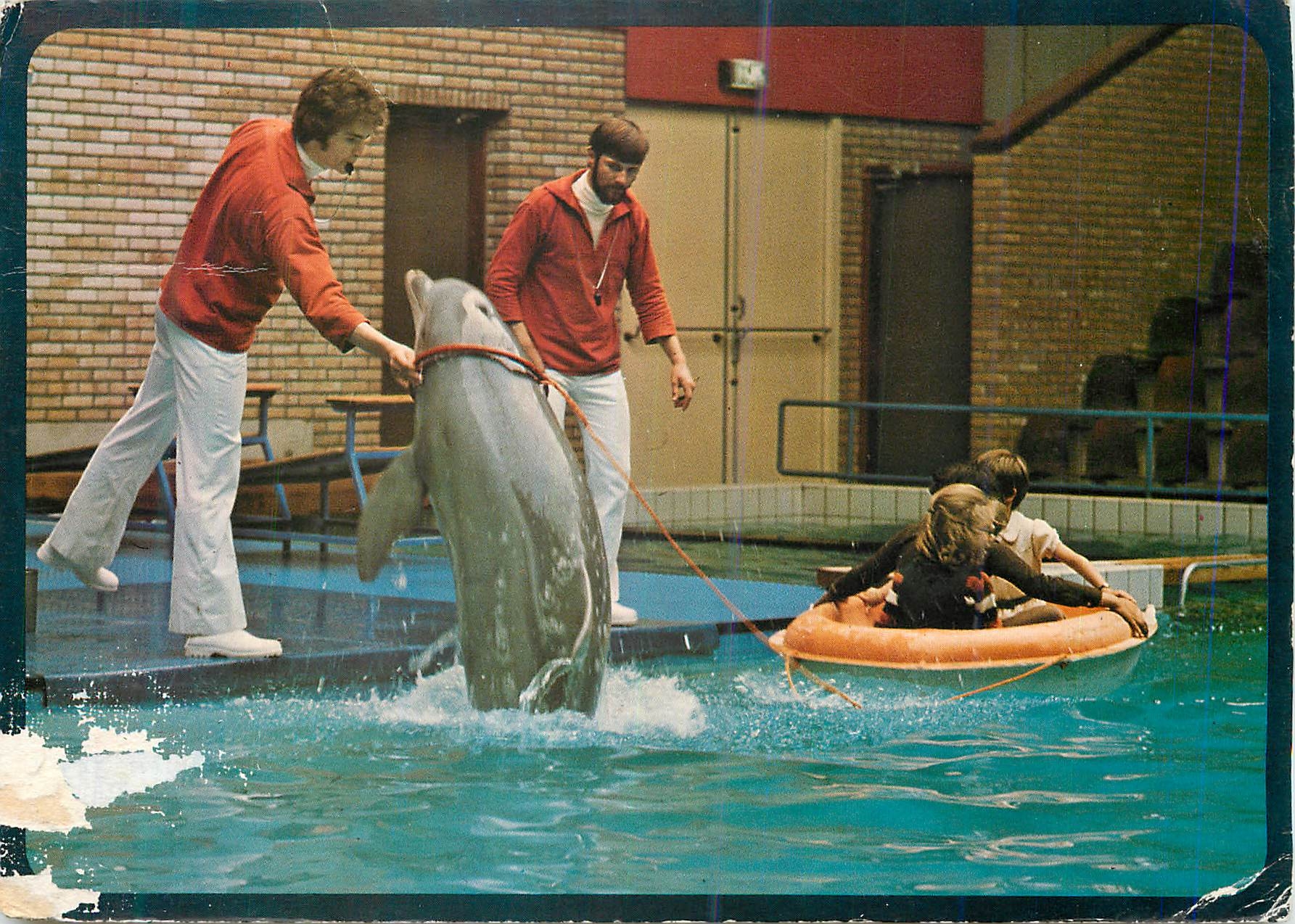 CPM Dolfinarium Sint Michiels Brugge Dauphins