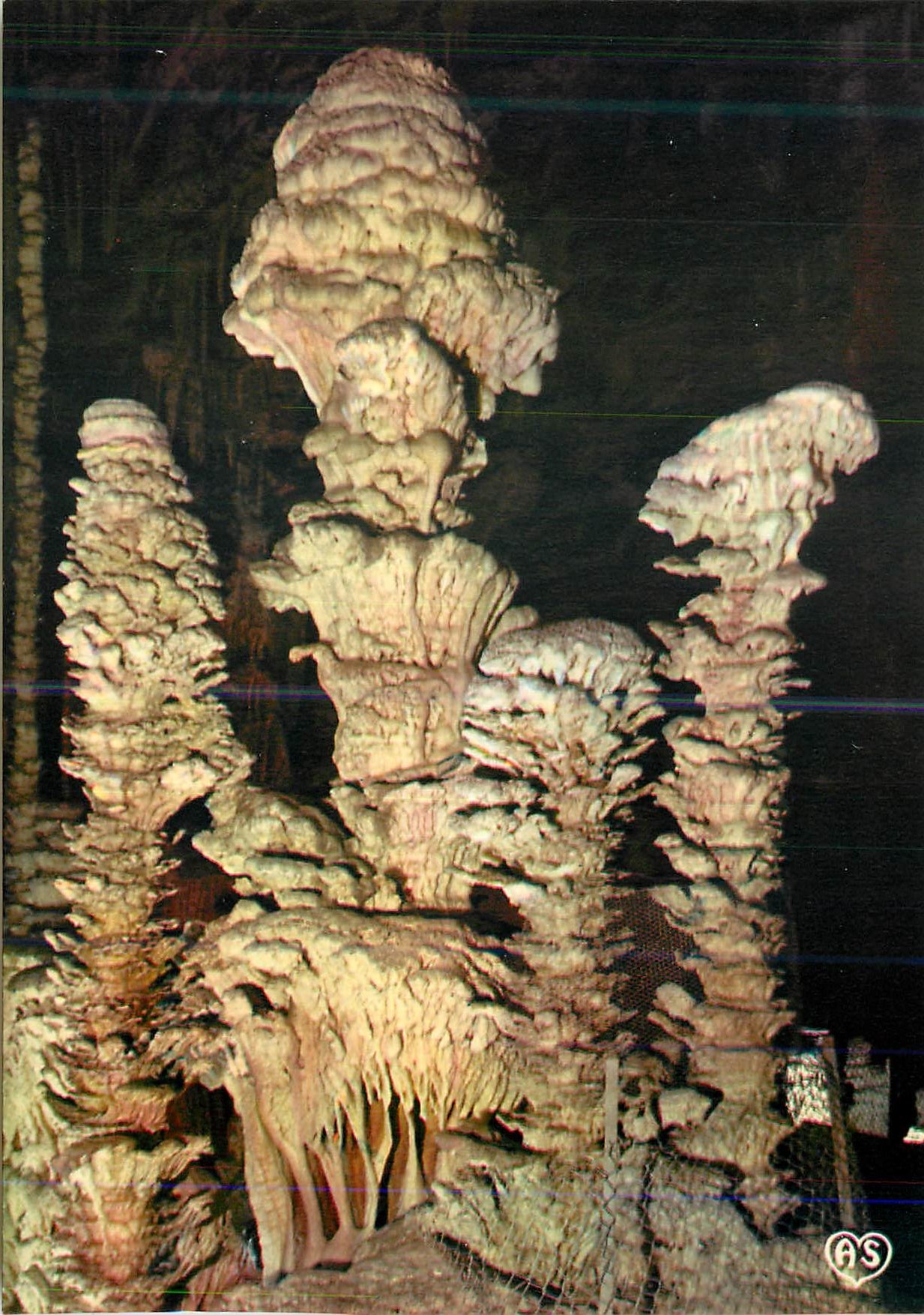 Grotte de l'Aven Armand — Les Choux Fleurs — Société des Cartes Postales APA-POUX