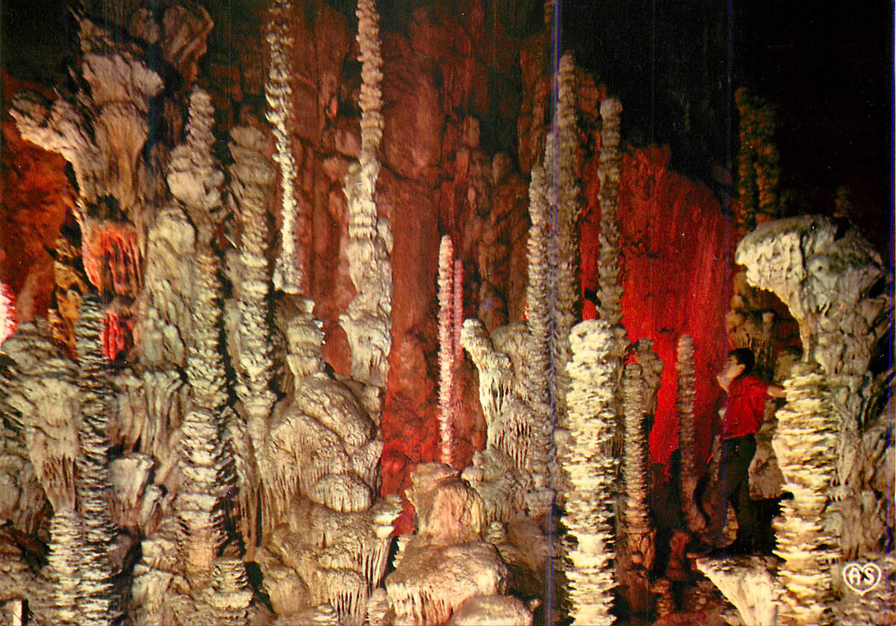 Grotte de l'Aven Armand — Gorges du Tarn — Société des Cartes Postales APA-POUX