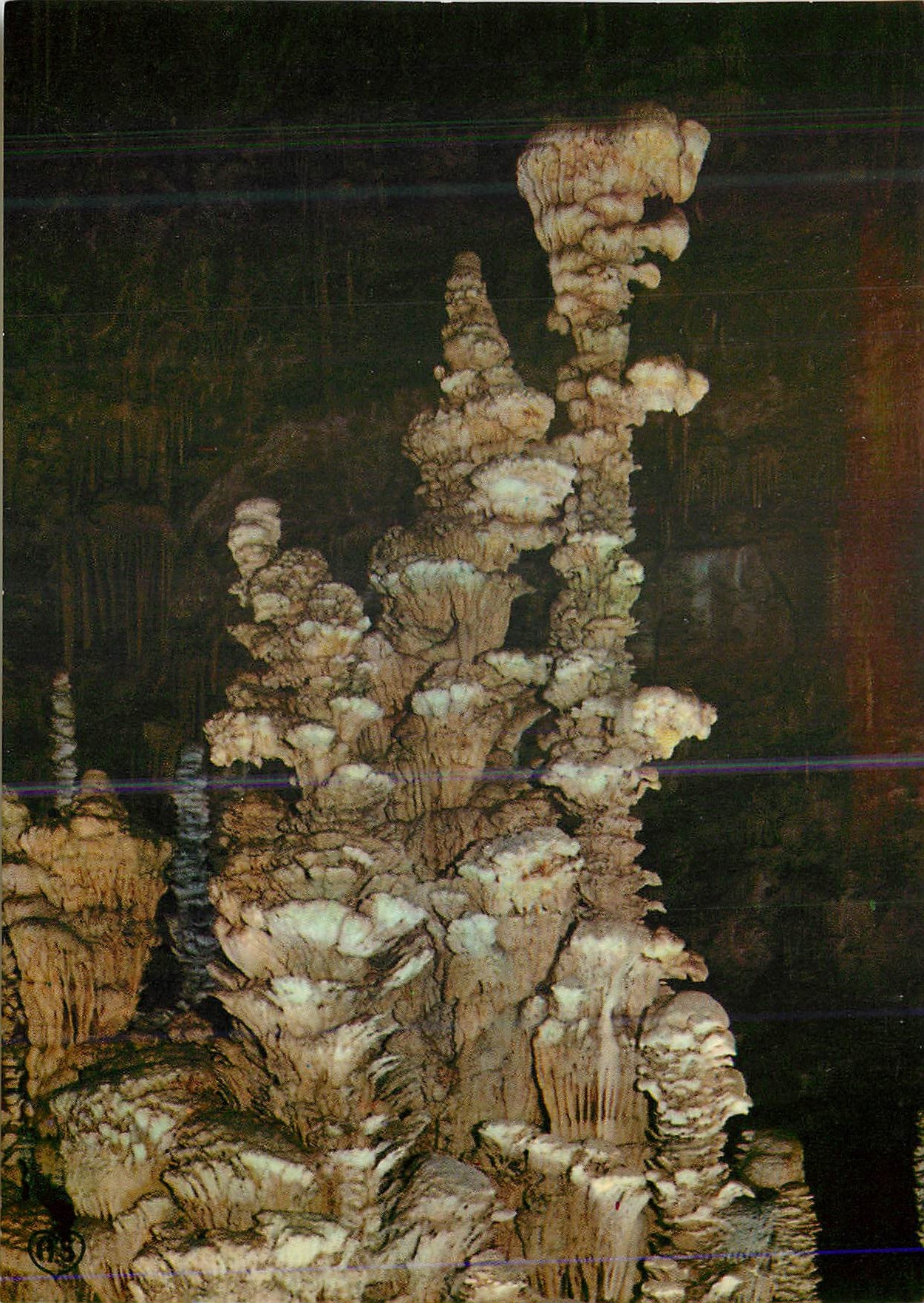 Grotte de l'Aven Armand — La Gueule du Tigre — Société des Cartes Postales APA-POUX