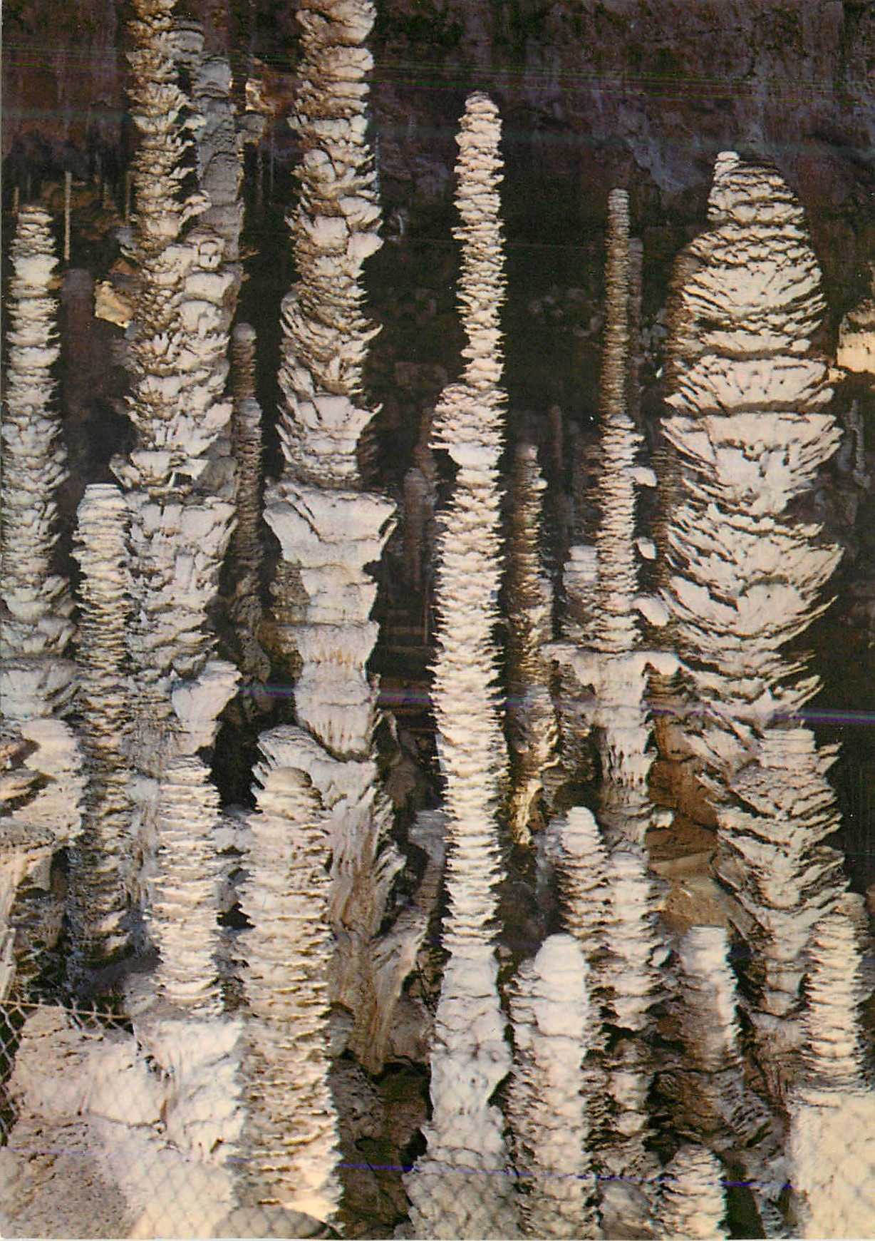 CPM L'Aven Armand Le Palmier et Groupe de Stalagmites