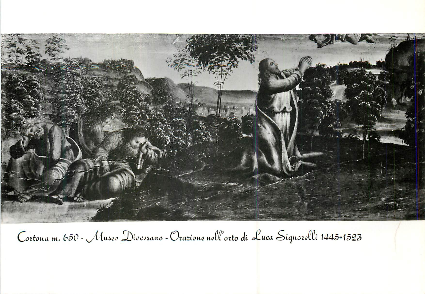 CPM Cortone 650 m Musee Diocesain Flagellation (Luca Signorelli 1445 1523)