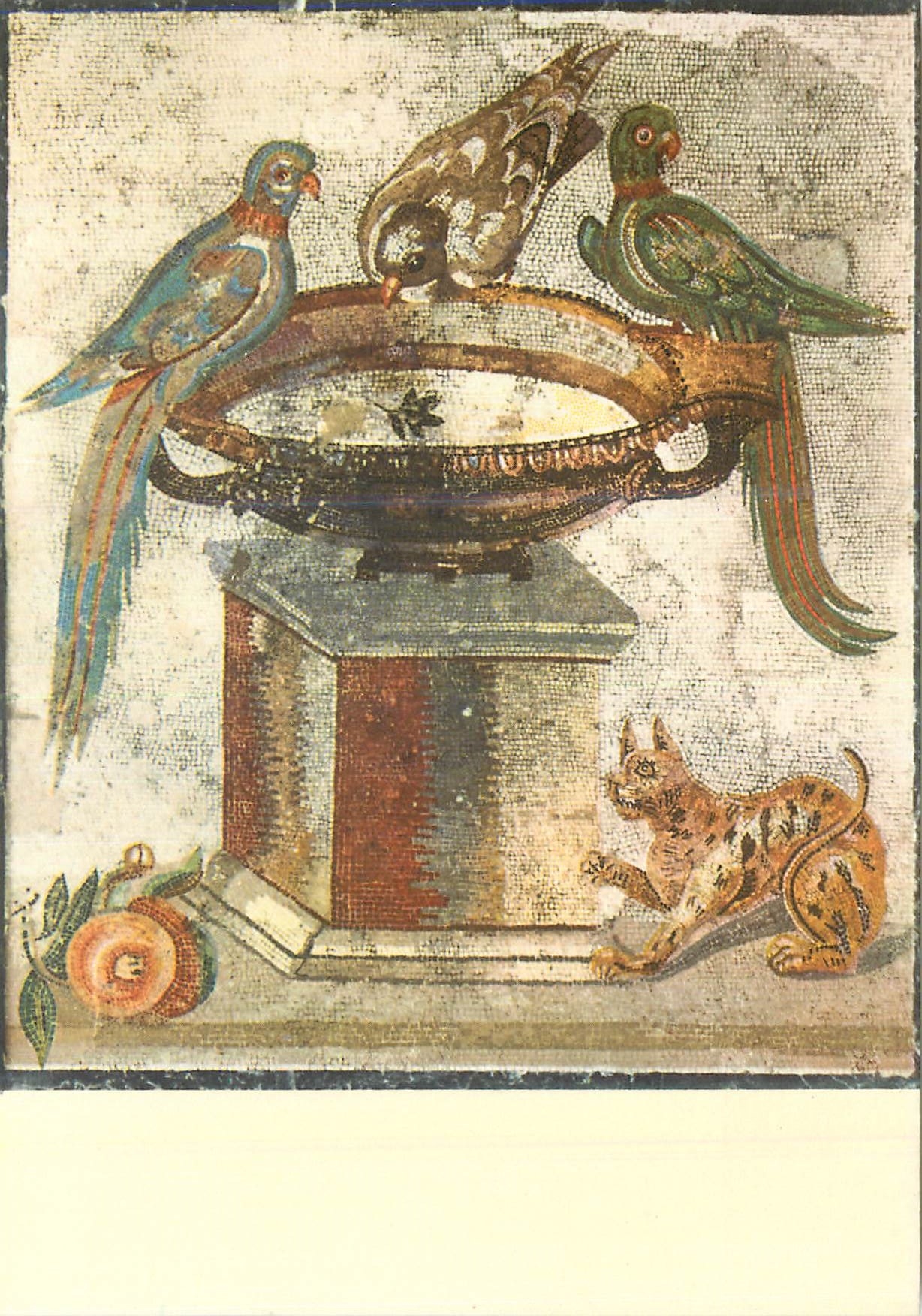 CPM Napoli Museo Nazionale Coupe avec Perroquets et Colombe