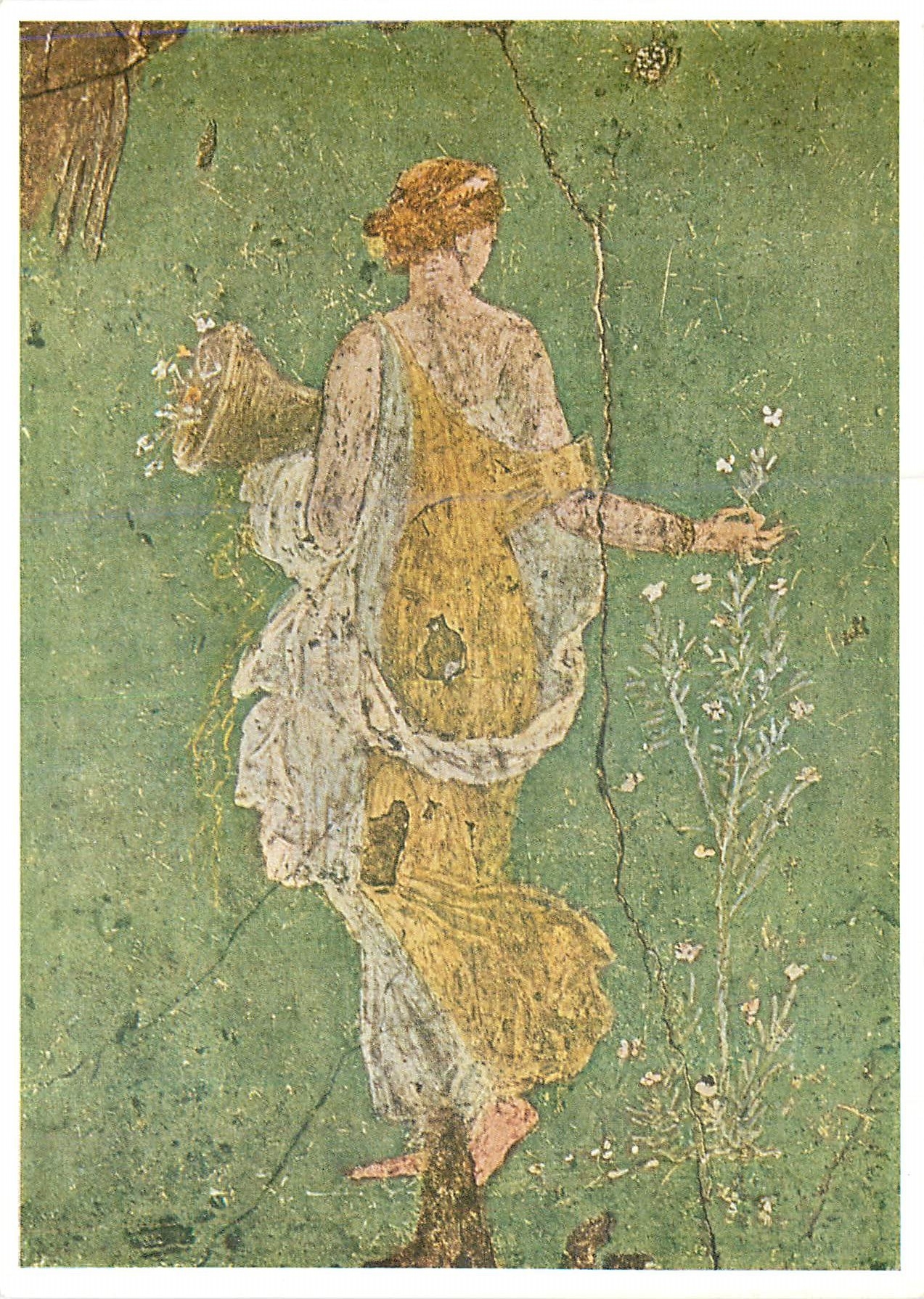 CPM Napoli Museo Nazionale Pittura Romana