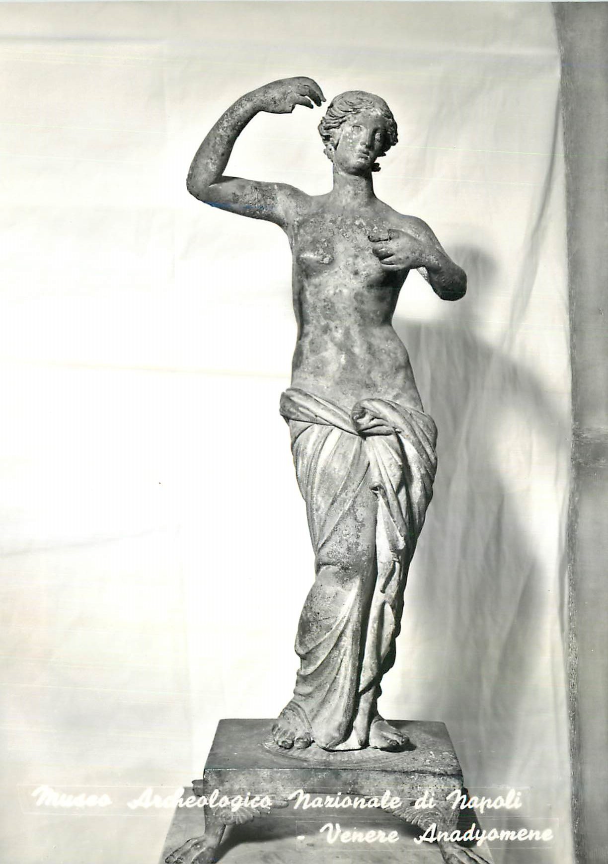 CPM Museo Archeologico Naz di Napoli Venus Anadyomene