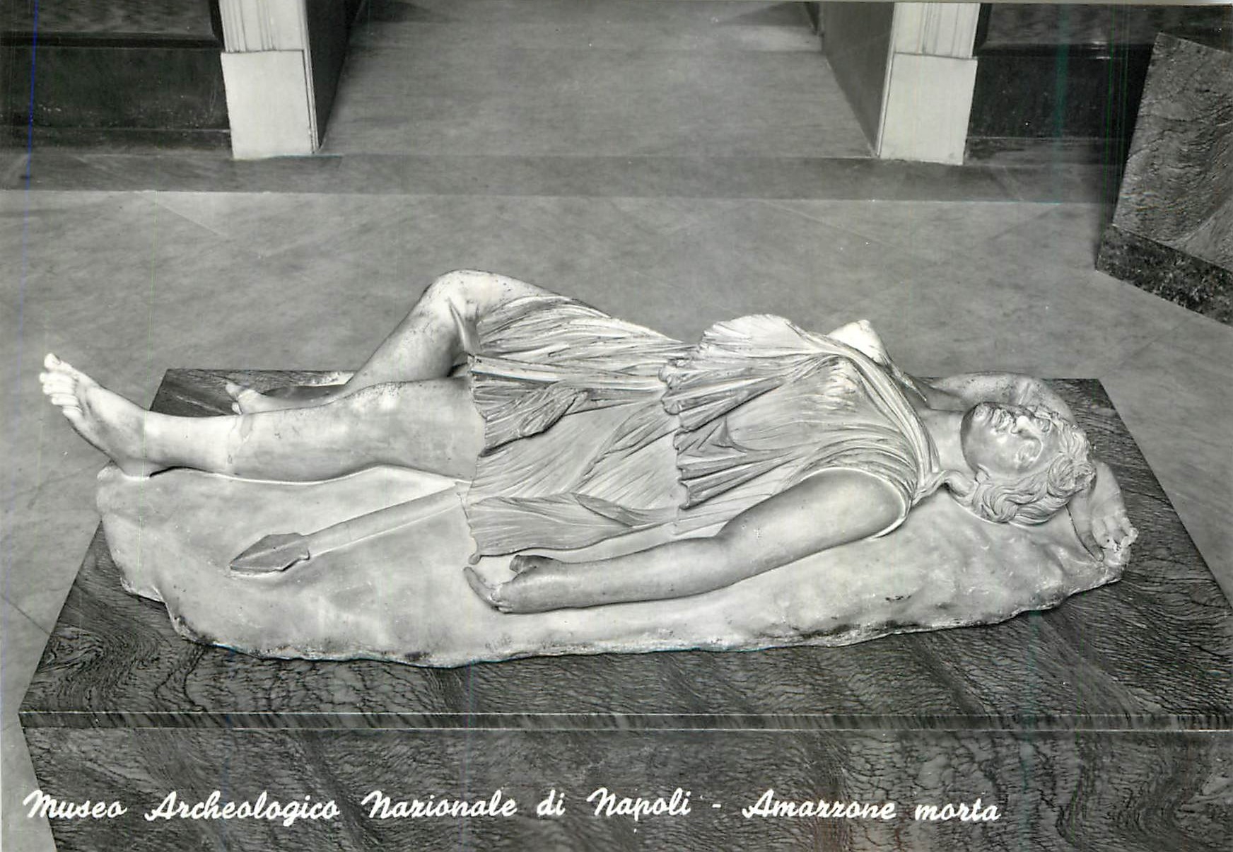 CPM Museo Archeologico Naz di Napoli Amazone Morte