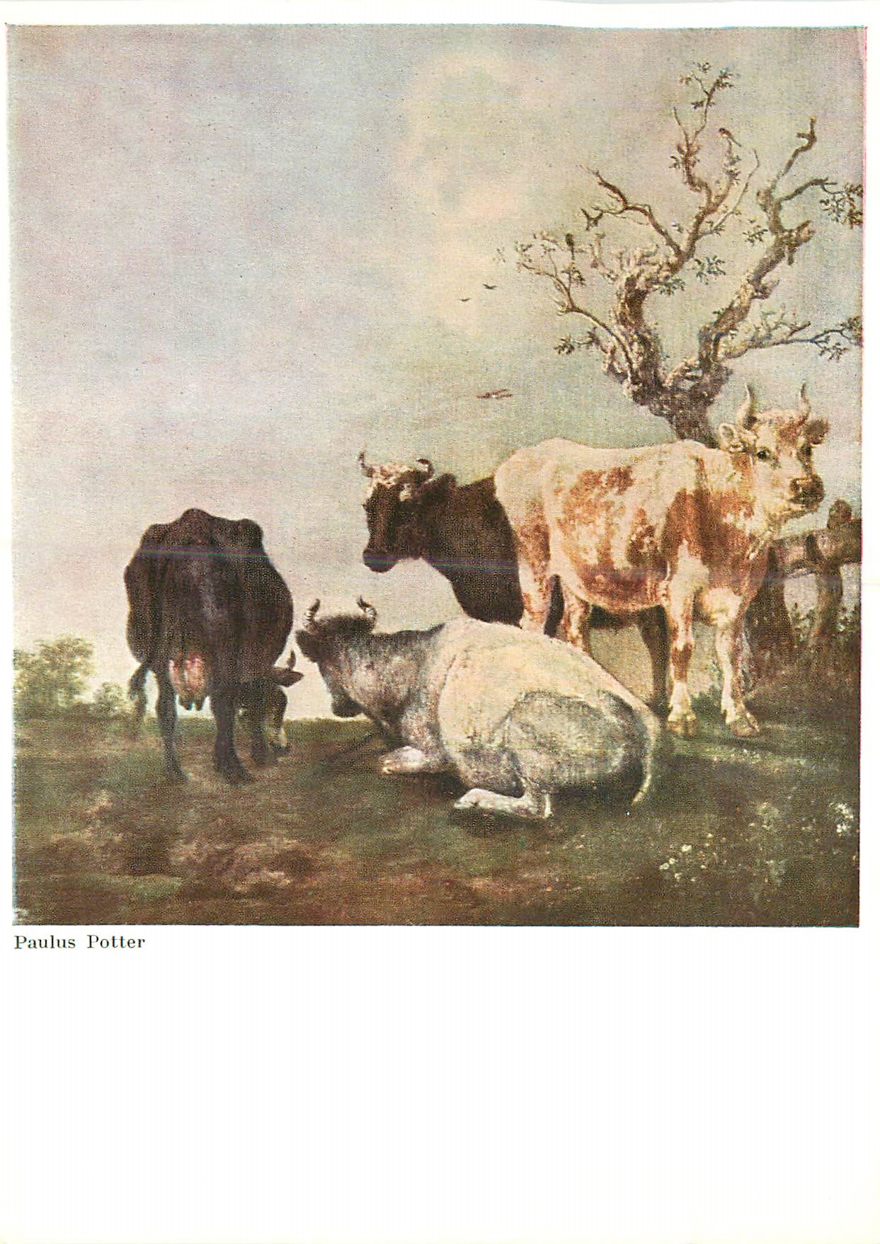 Paulus Potter — Vaches sur une prairie — Walter Classen, Kunstverlag, Zürich, n° 3592