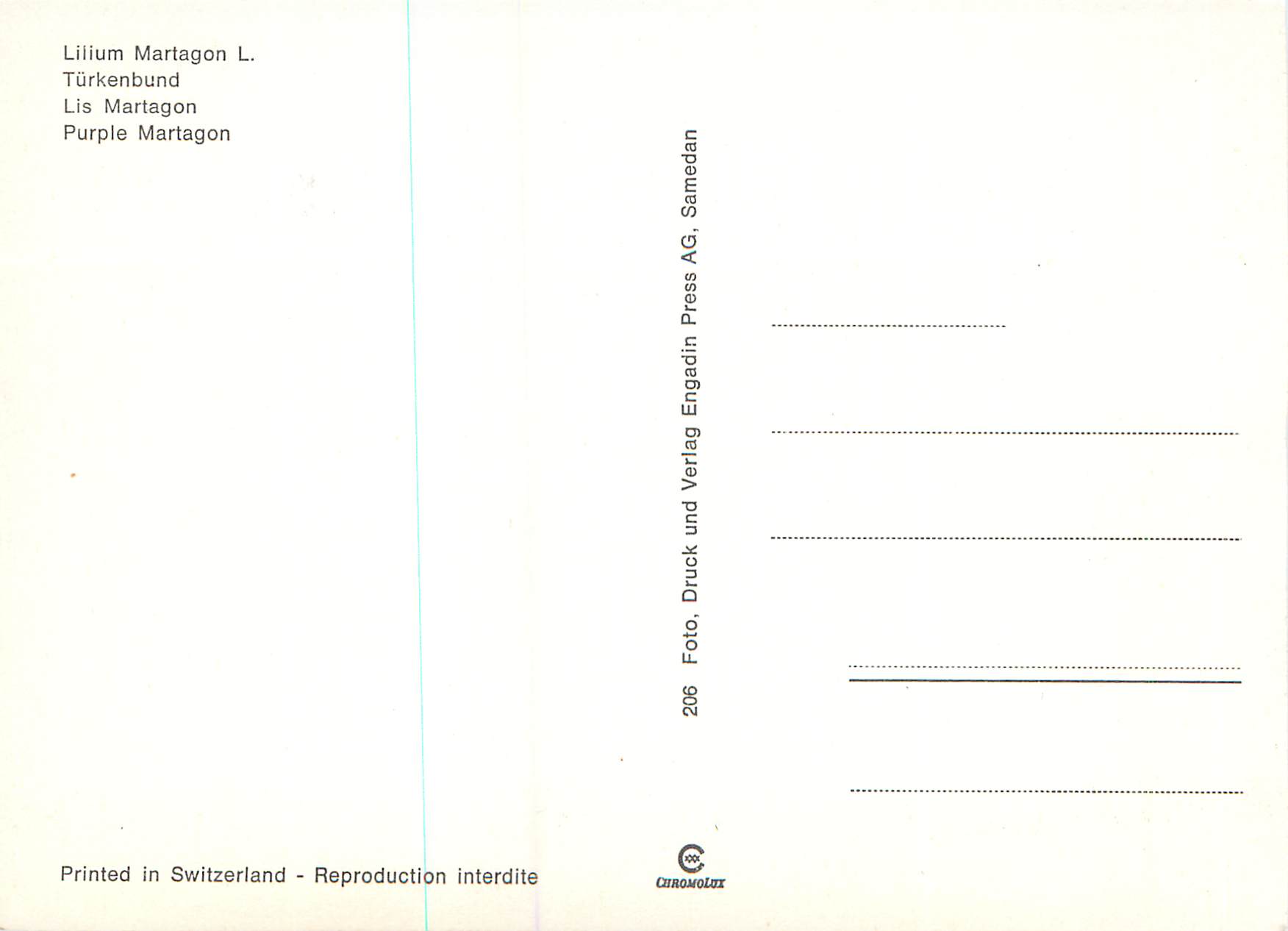 CPM Lis Martagon — Verso