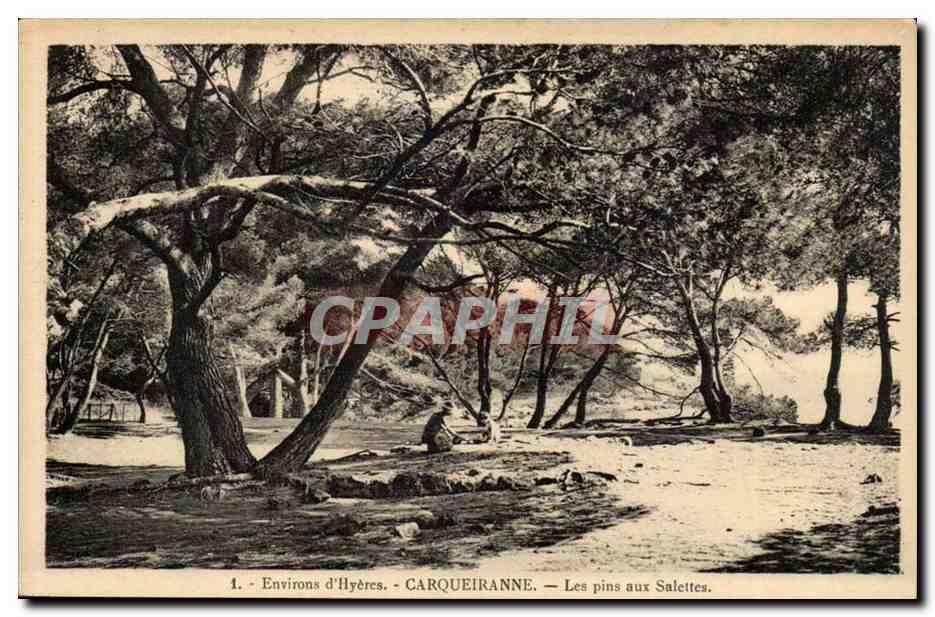 Environs d'Hyeres CPA Carqueranne Les pins aux SAlettes