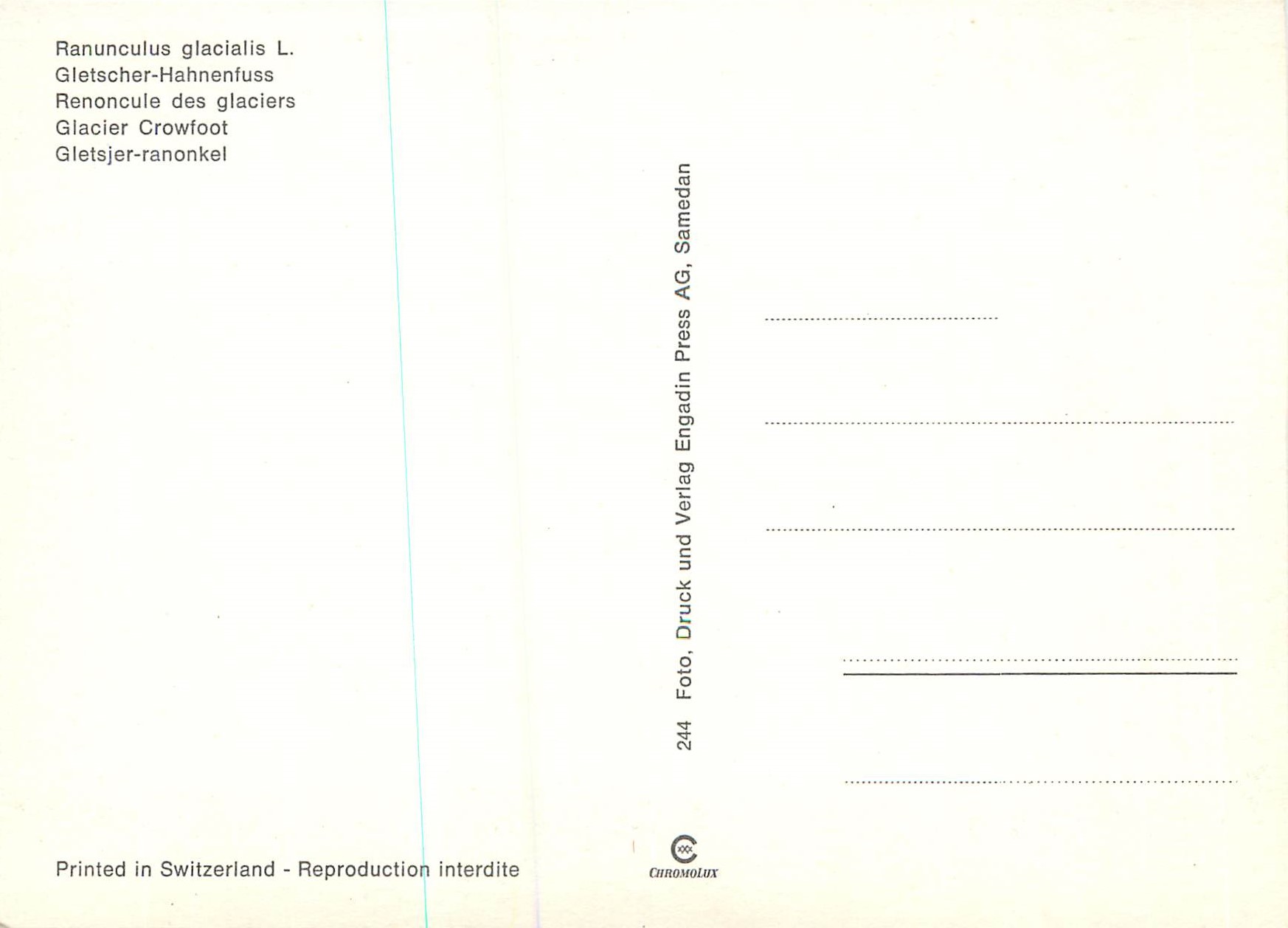 CPM Renoncule des glaciers — Verso