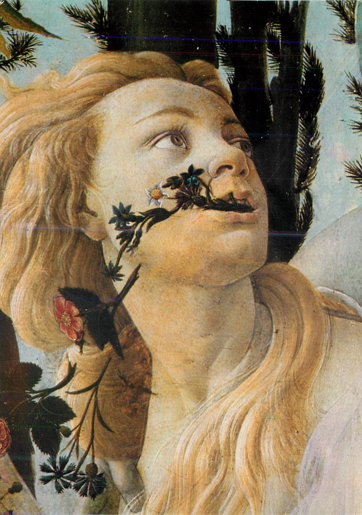 CPM Firenze Uffizi Sandro Botticelli (1445 1510) Le Printemps detail Flore