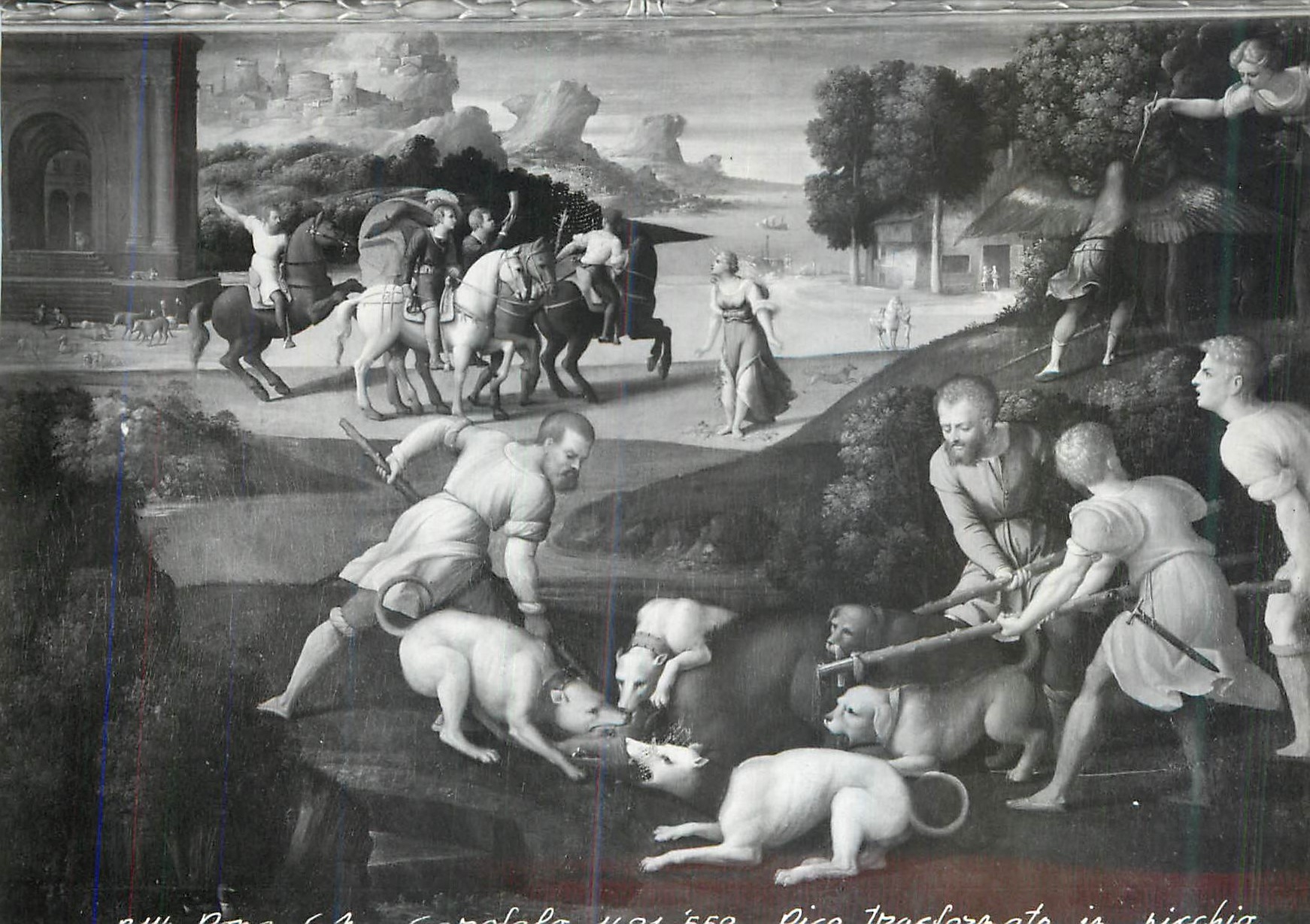 CPM Roma Garofalo 