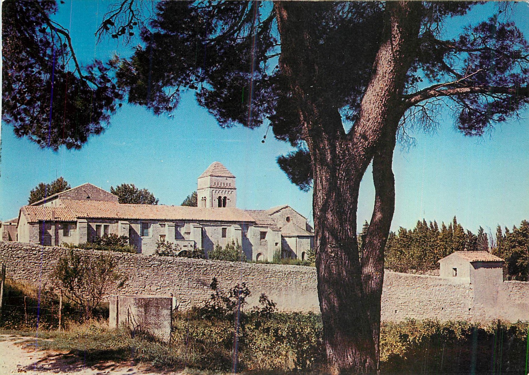 CPM Saint Remy de Provence (Bouches du Rhone) Le Cloitre Saint Paul de Mausole