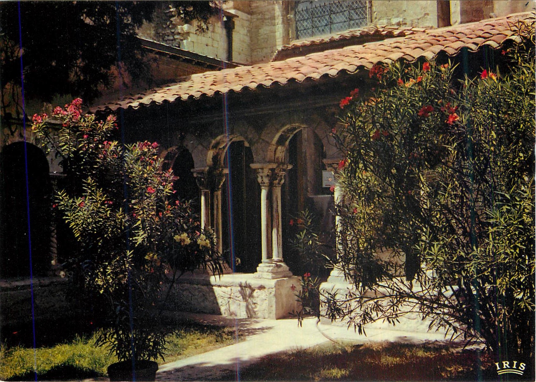 Aix-en-Provence — Le cloître de la cathédrale Saint-Sauveur — Éditeur IRIS