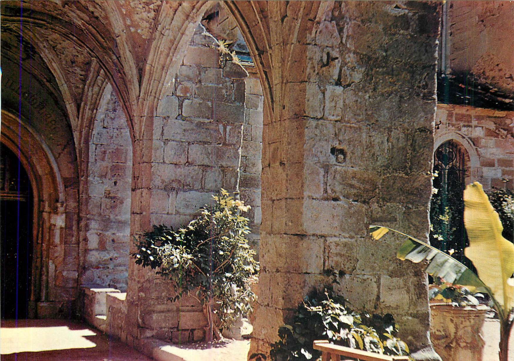 CPM Lodeve Une partie du Cloitre de la Cathedrale Saint Fulcran